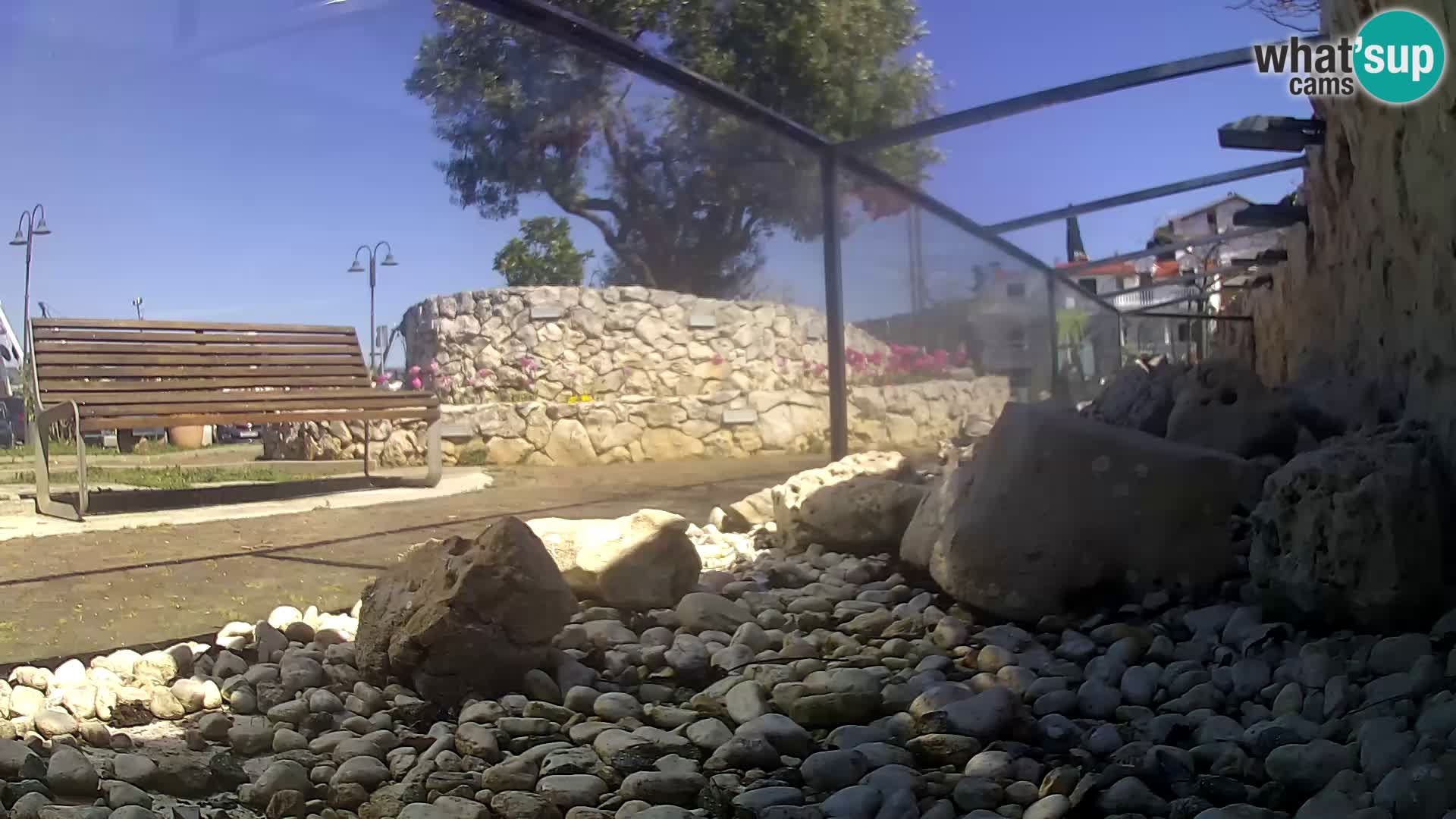Vanjski morski akvarij Rogoznica web kamera Hrvatska