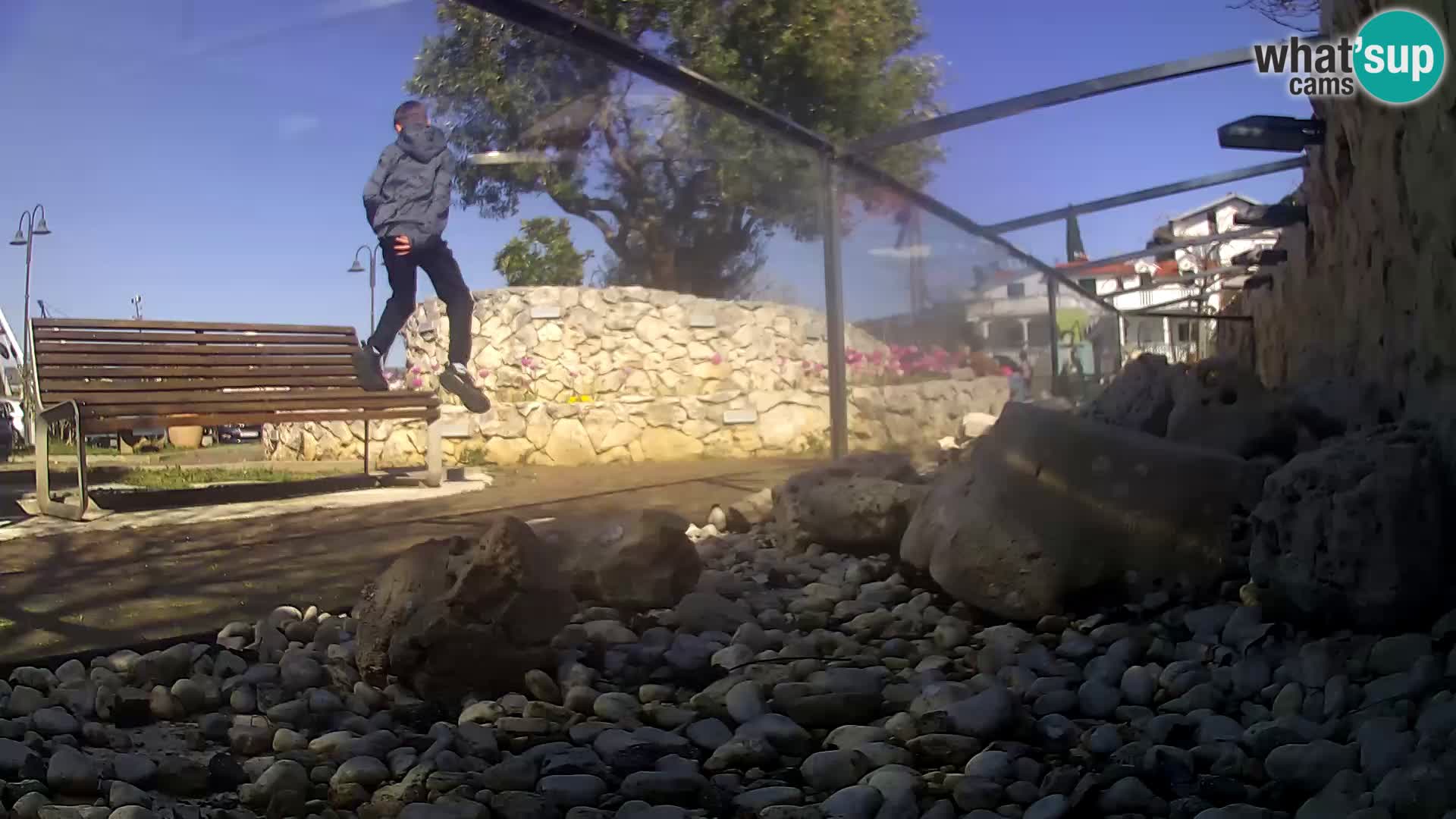 Outdoor Marine Aquarium Rogoznica webcam Croatia