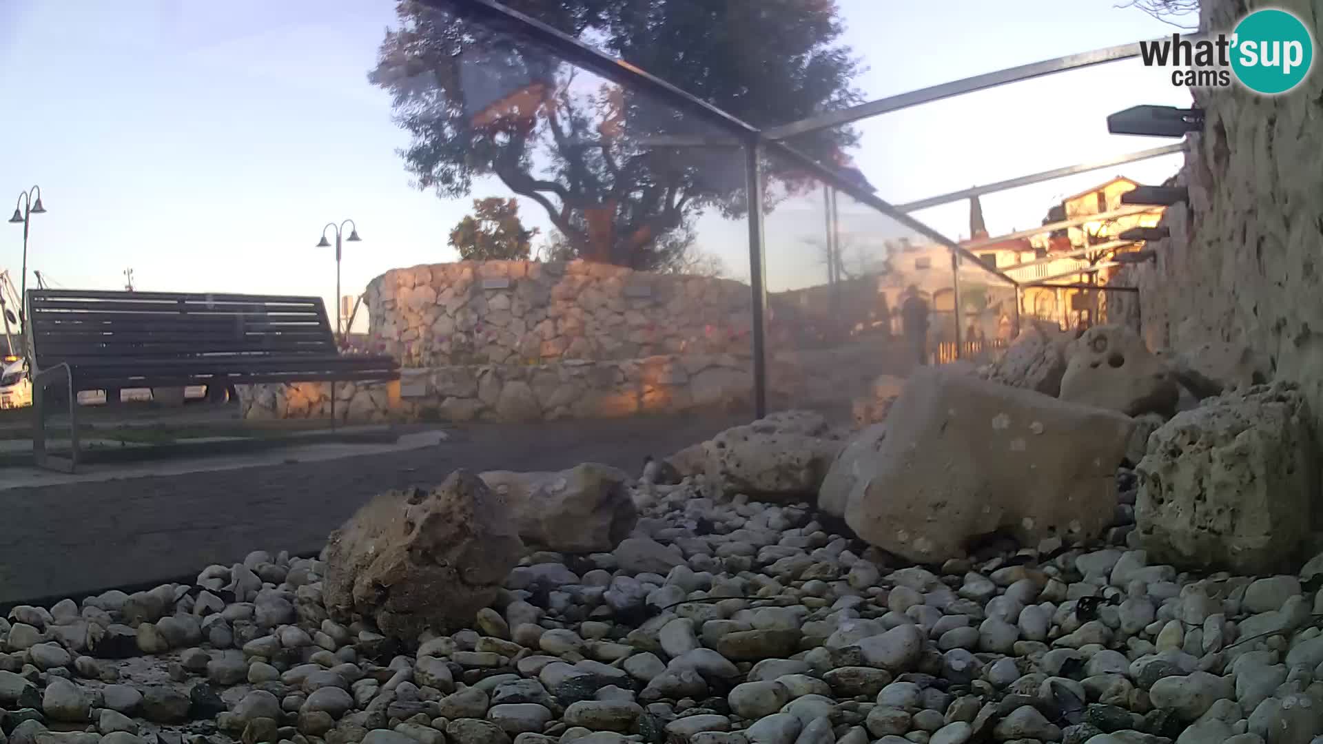 Vanjski morski akvarij Rogoznica web kamera Hrvatska