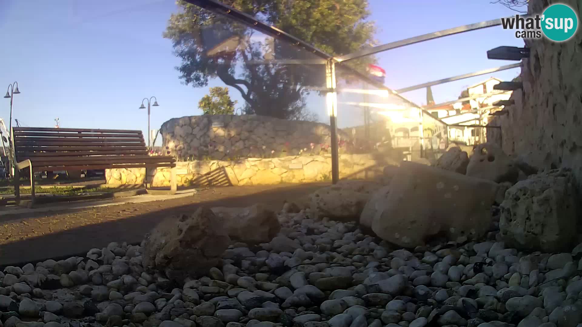 Vanjski morski akvarij Rogoznica web kamera Hrvatska