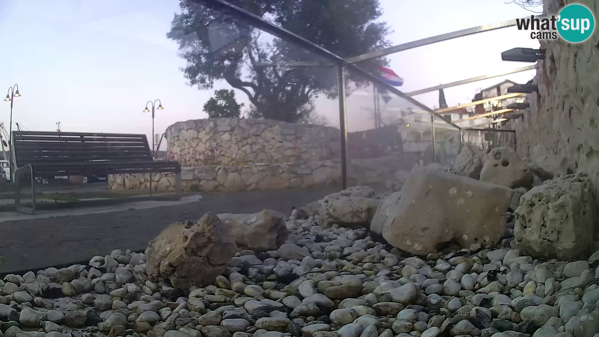 Vanjski morski akvarij Rogoznica web kamera Hrvatska