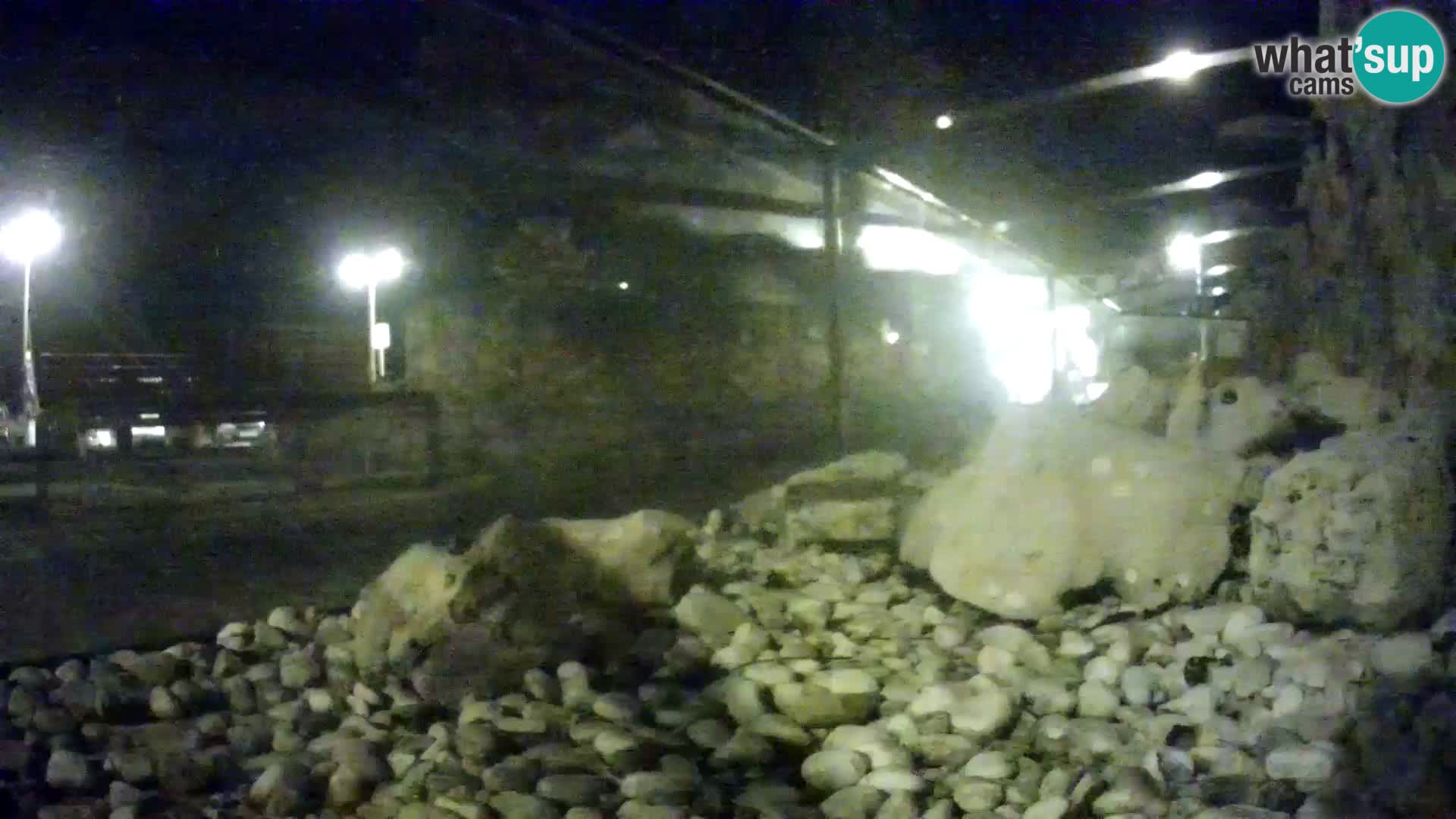 Vanjski morski akvarij Rogoznica web kamera Hrvatska