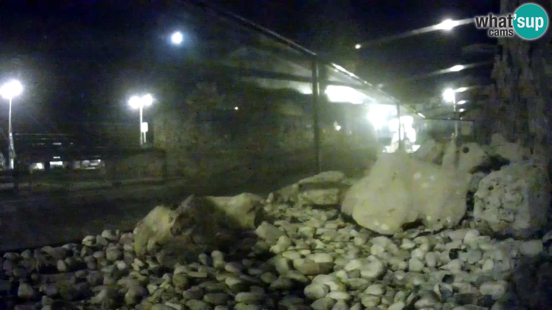 Outdoor Marine Aquarium Rogoznica webcam Croatia