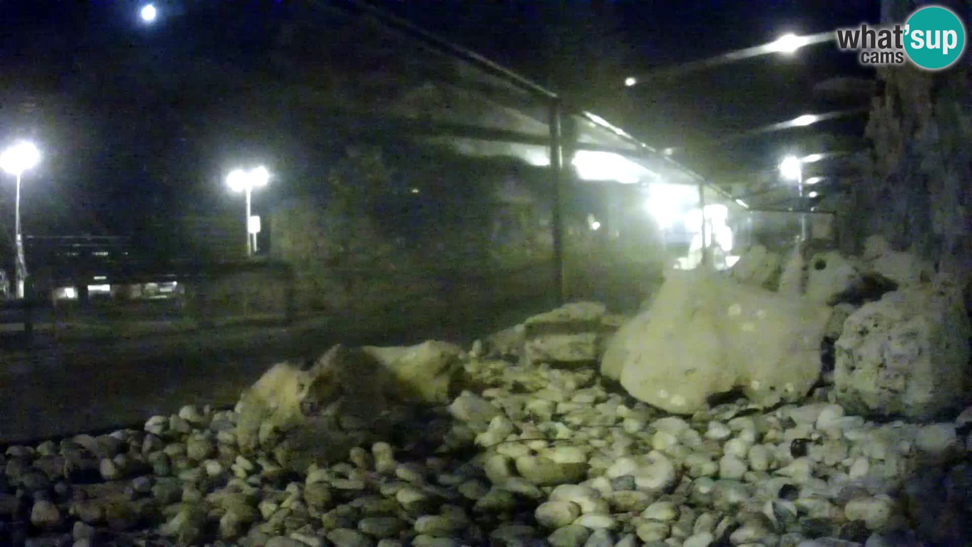 Vanjski morski akvarij Rogoznica web kamera Hrvatska