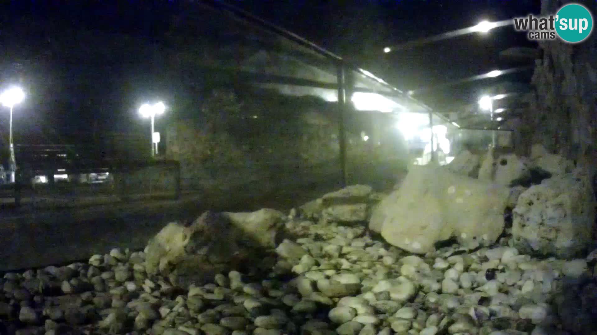 Webcam de l’aquarium marin extérieur de Rogoznica Croatie