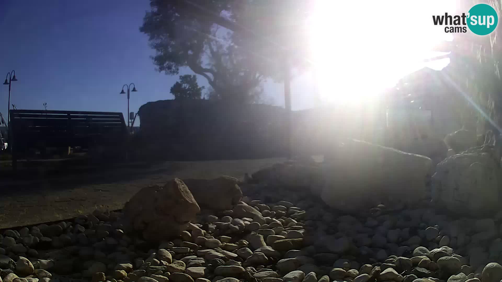 Outdoor Marine Aquarium Rogoznica webcam Croatia