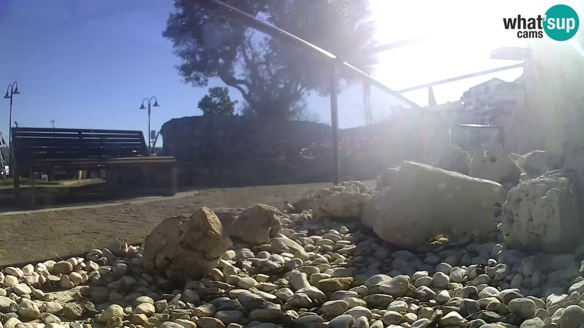 Outdoor Marine Aquarium Rogoznica webcam Croatia