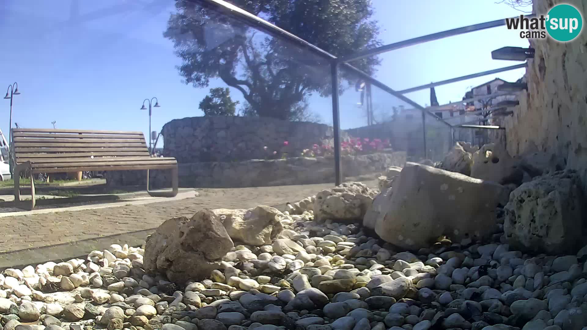 Webcam de l’aquarium marin extérieur de Rogoznica Croatie