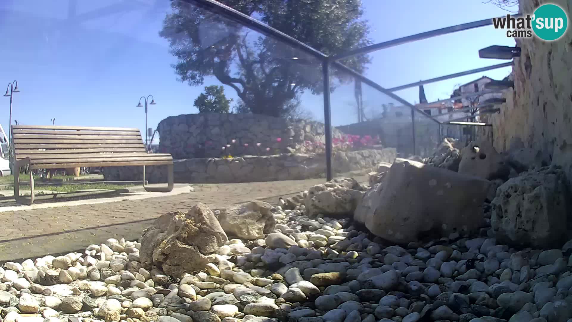 Zunanji morski akvarij Rogoznica spletna kamera Hrvaška