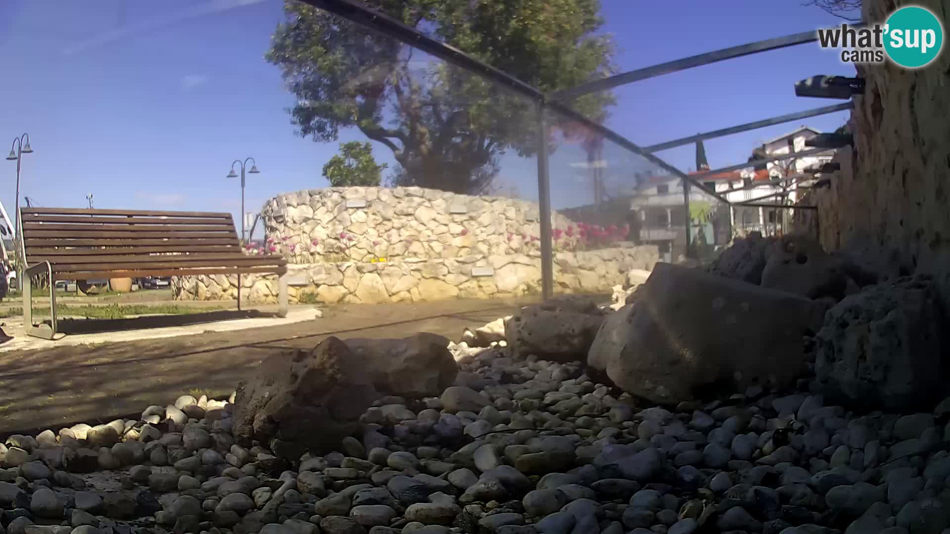 Outdoor Marine Aquarium Rogoznica webcam Croatia