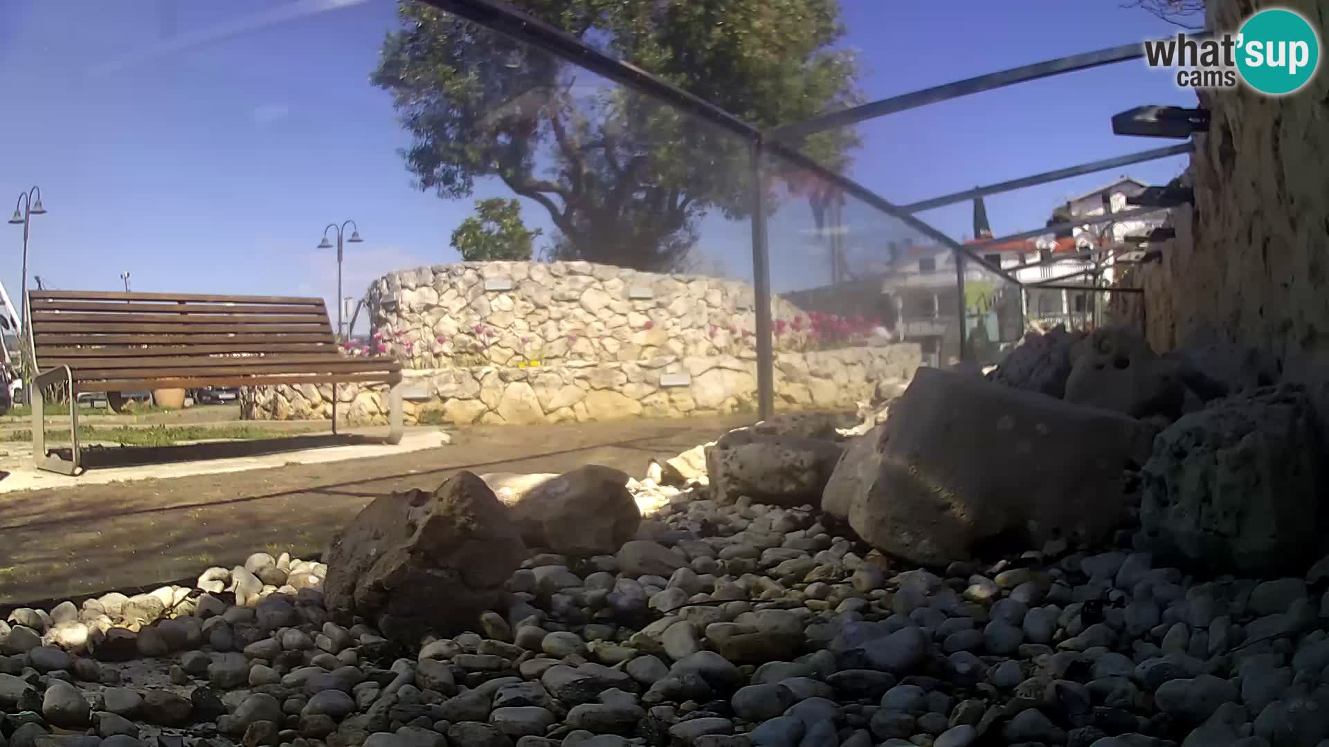 Outdoor Marine Aquarium Rogoznica webcam Croatia