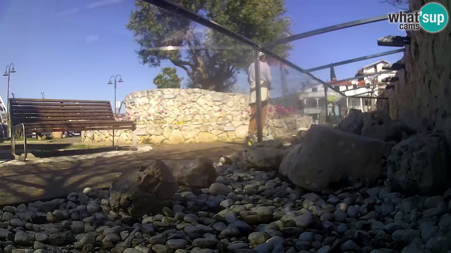 Acuario marino al aire libre Rogoznica webcam Croacia