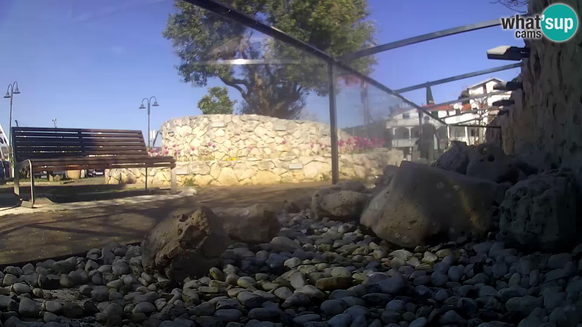 Zunanji morski akvarij Rogoznica spletna kamera Hrvaška