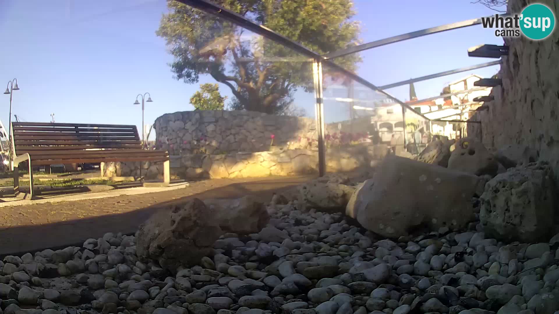 Outdoor Marine Aquarium Rogoznica webcam Croatia