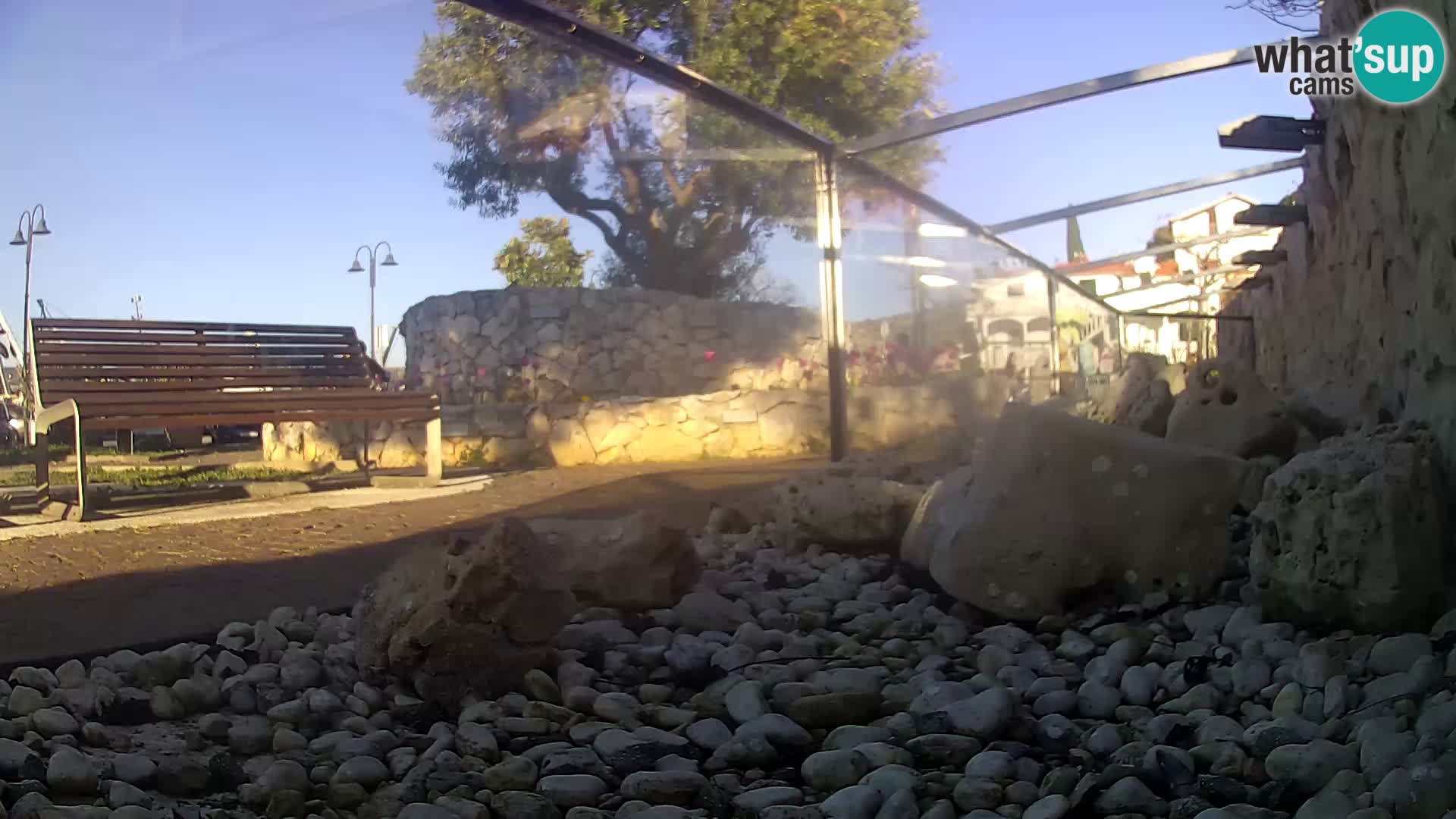 Acuario marino al aire libre Rogoznica webcam Croacia