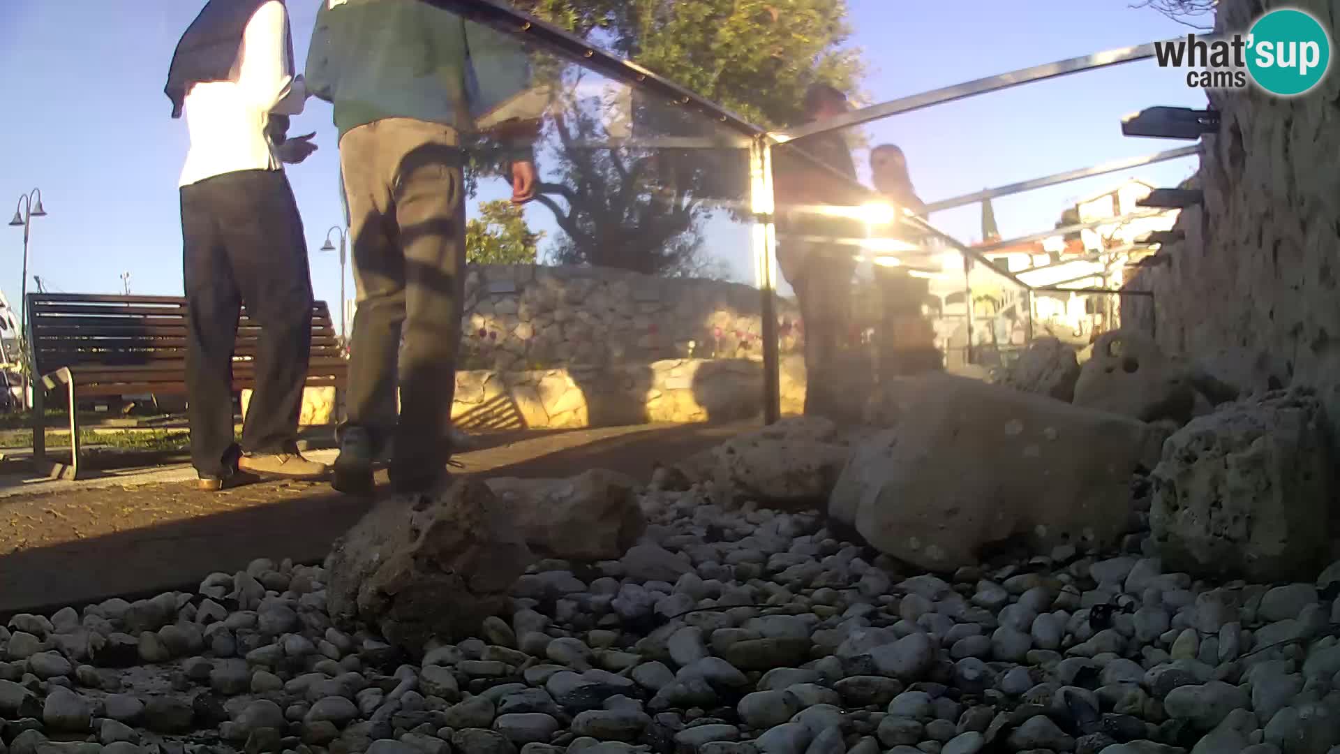 Aquario marino esterno –  Rogoznica livecam Croazia