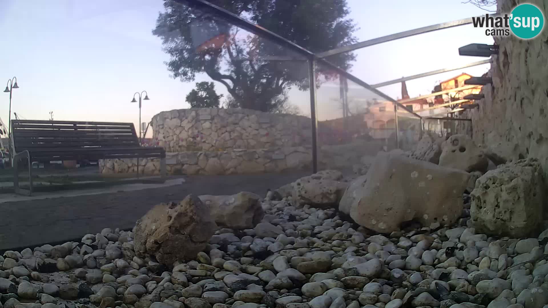 Zunanji morski akvarij Rogoznica spletna kamera Hrvaška