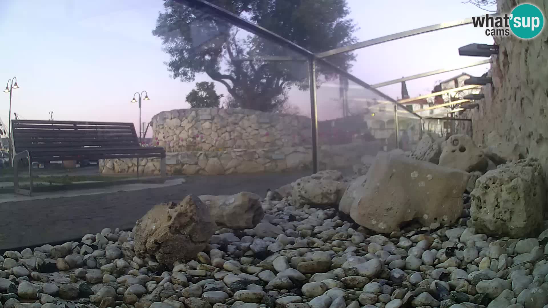 Aquario marino esterno –  Rogoznica livecam Croazia