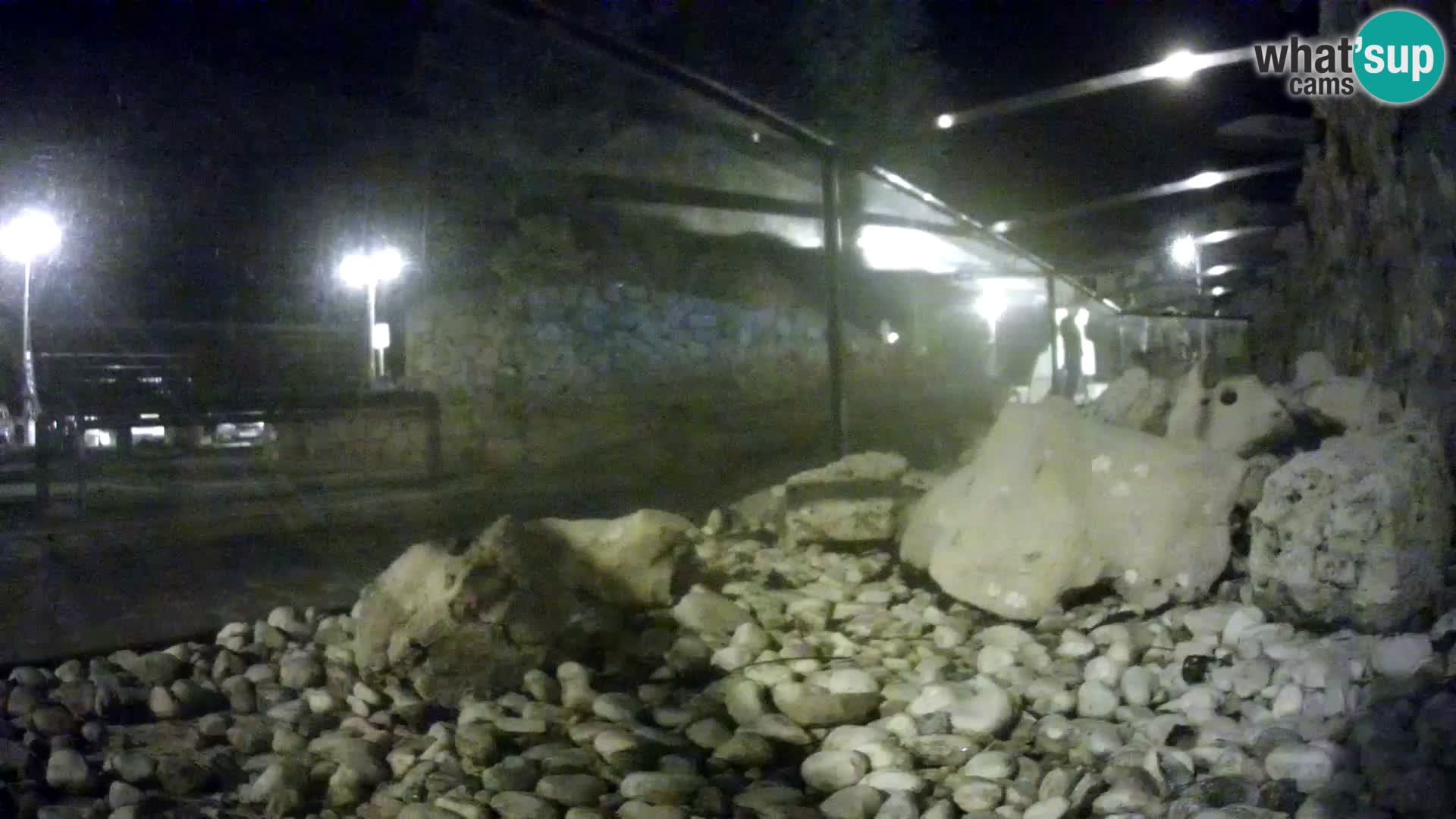 Acuario marino al aire libre Rogoznica webcam Croacia