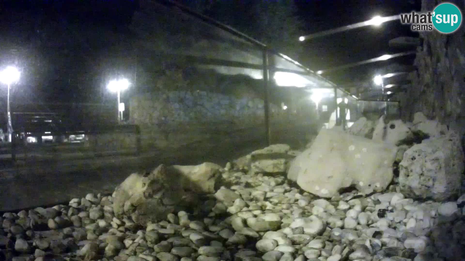 Aquario marino esterno –  Rogoznica livecam Croazia
