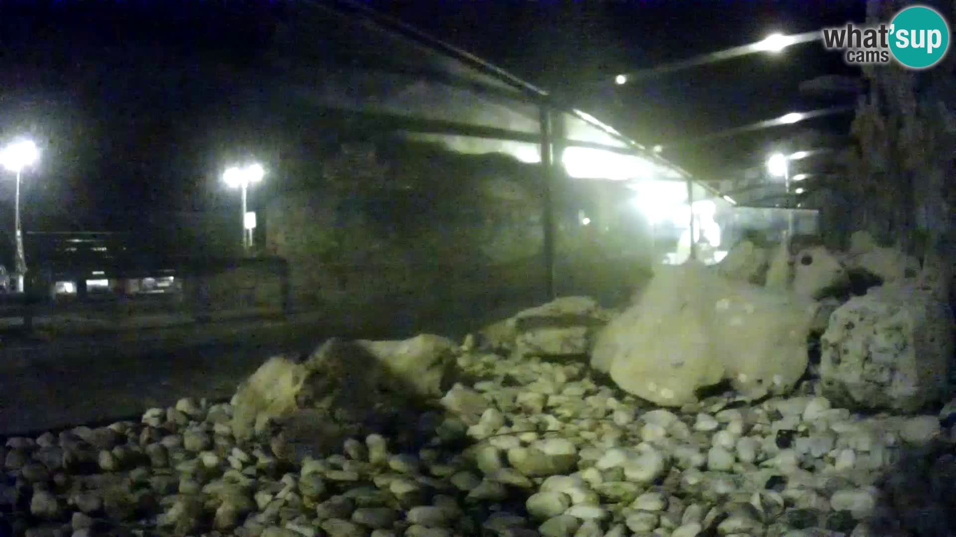 Acuario marino al aire libre Rogoznica webcam Croacia