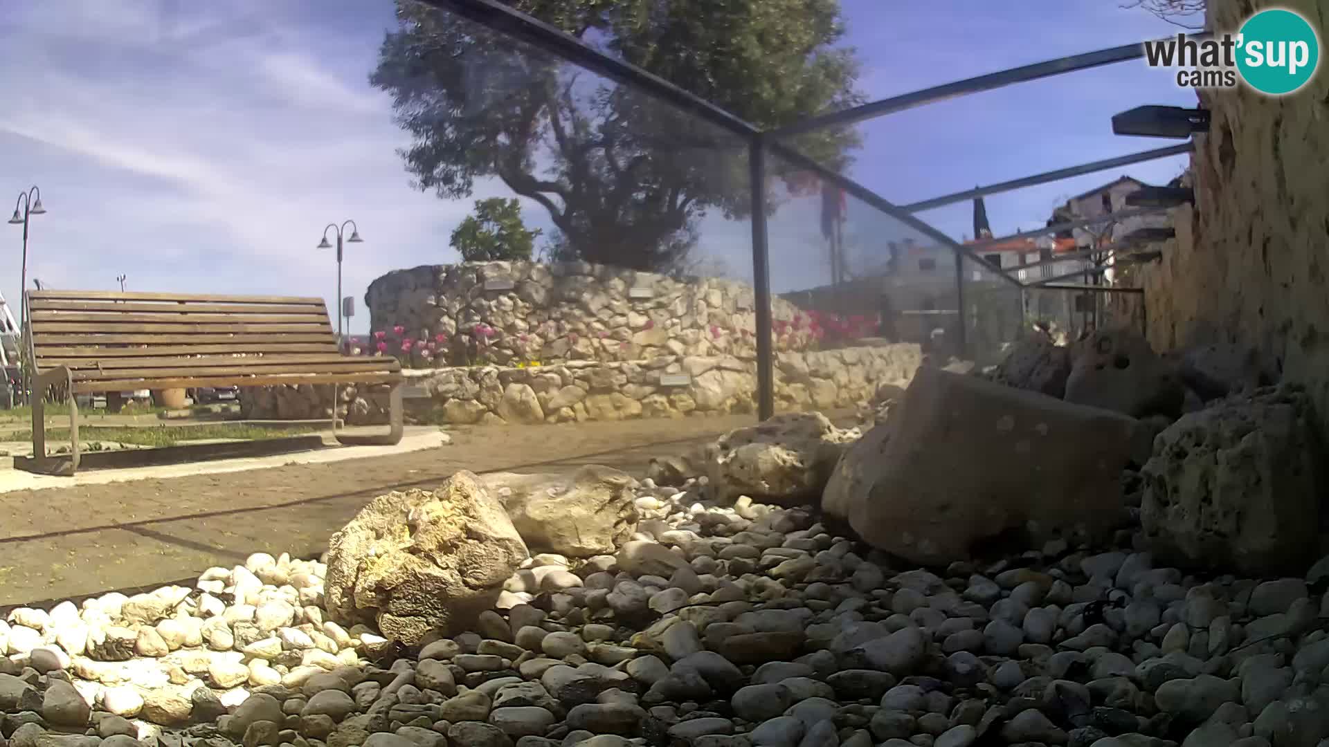 Vanjski morski akvarij Rogoznica web kamera Hrvatska