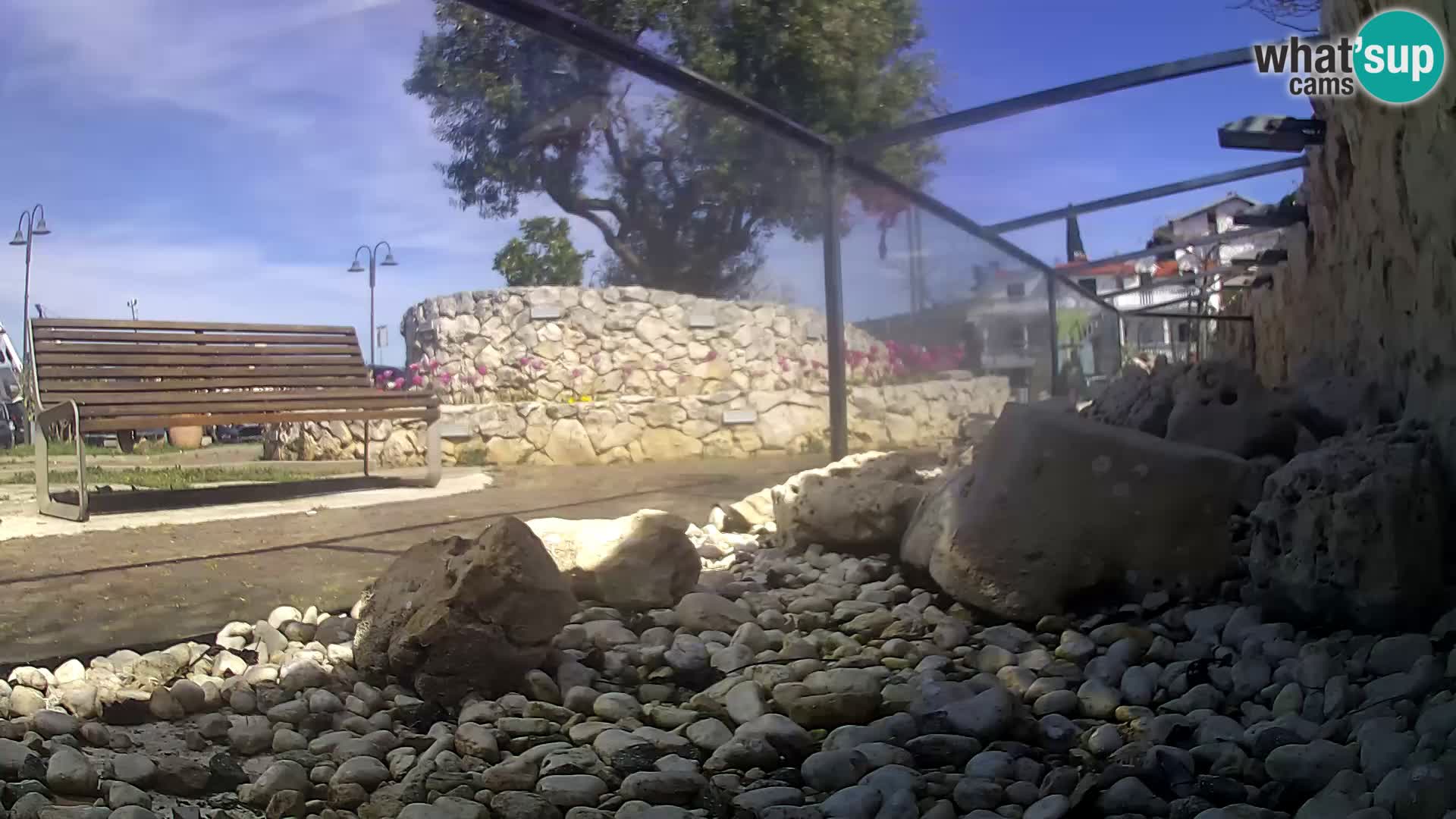 Vanjski morski akvarij Rogoznica web kamera Hrvatska