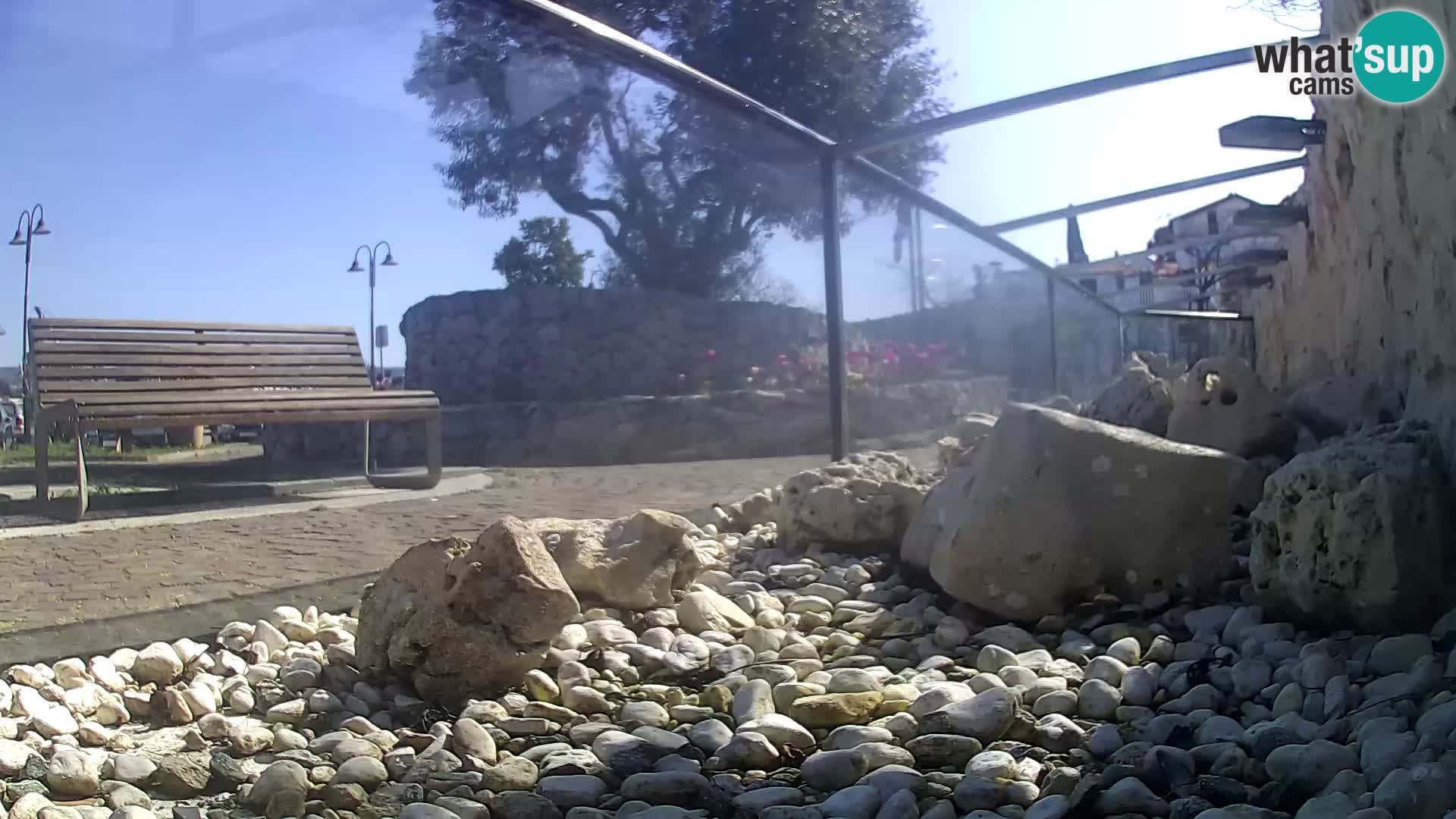 Outdoor Marine Aquarium Rogoznica webcam Croatia