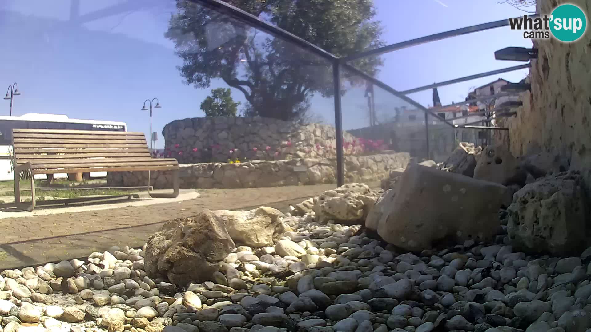 Acuario marino al aire libre Rogoznica webcam Croacia