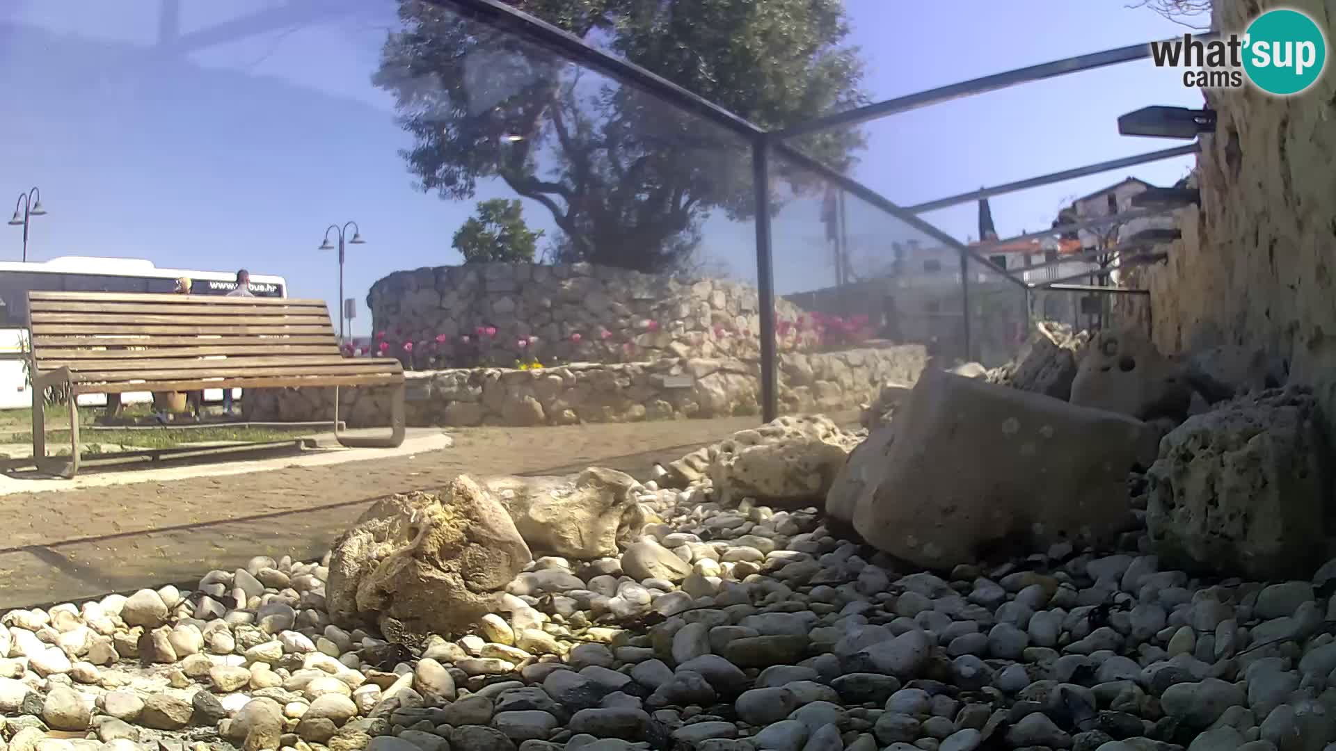 Vanjski morski akvarij Rogoznica web kamera Hrvatska