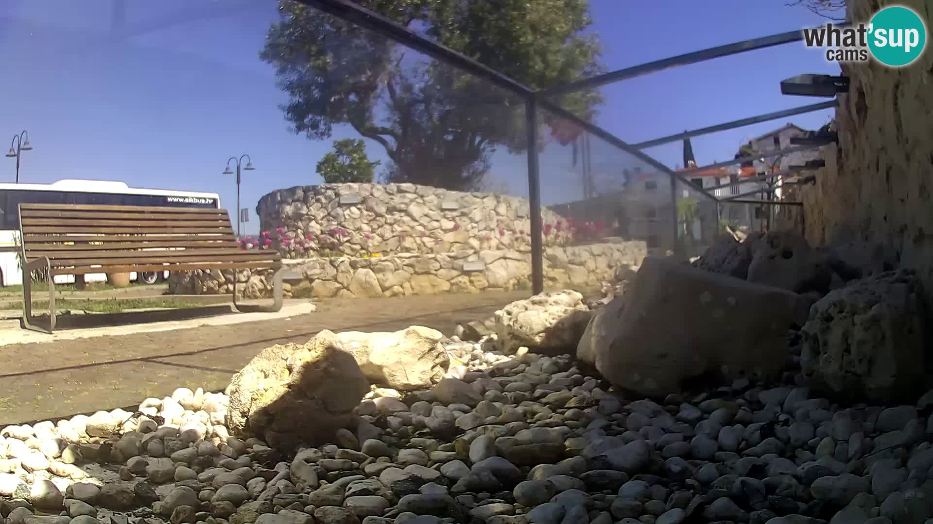 Outdoor Marine Aquarium Rogoznica webcam Croatia