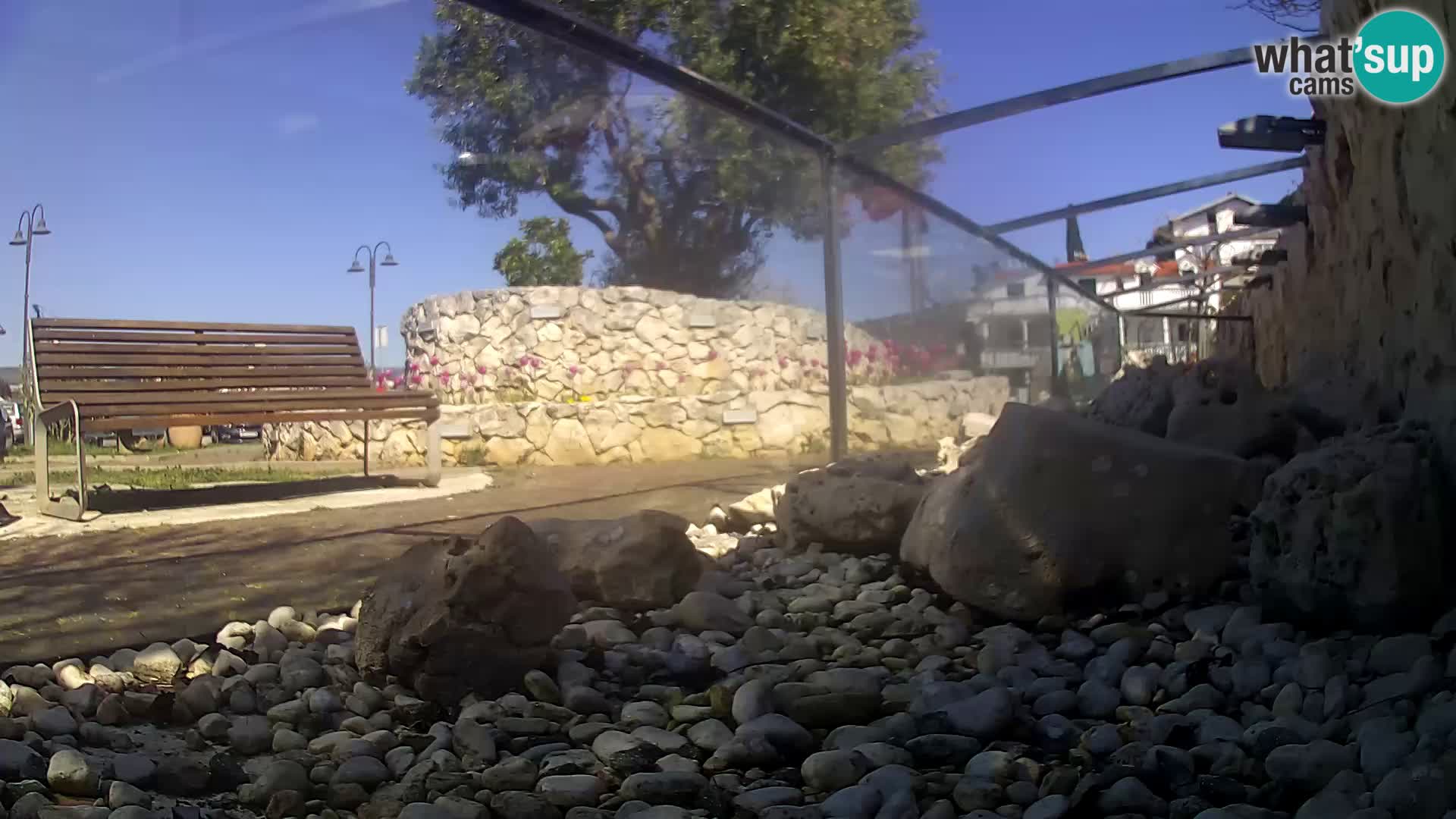 Outdoor Marine Aquarium Rogoznica webcam Croatia