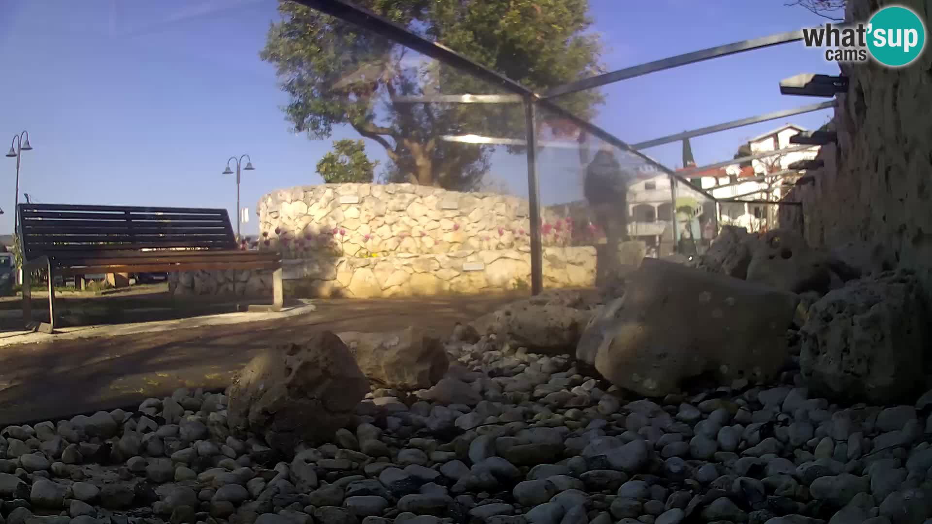 Outdoor Marine Aquarium Rogoznica webcam Croatia