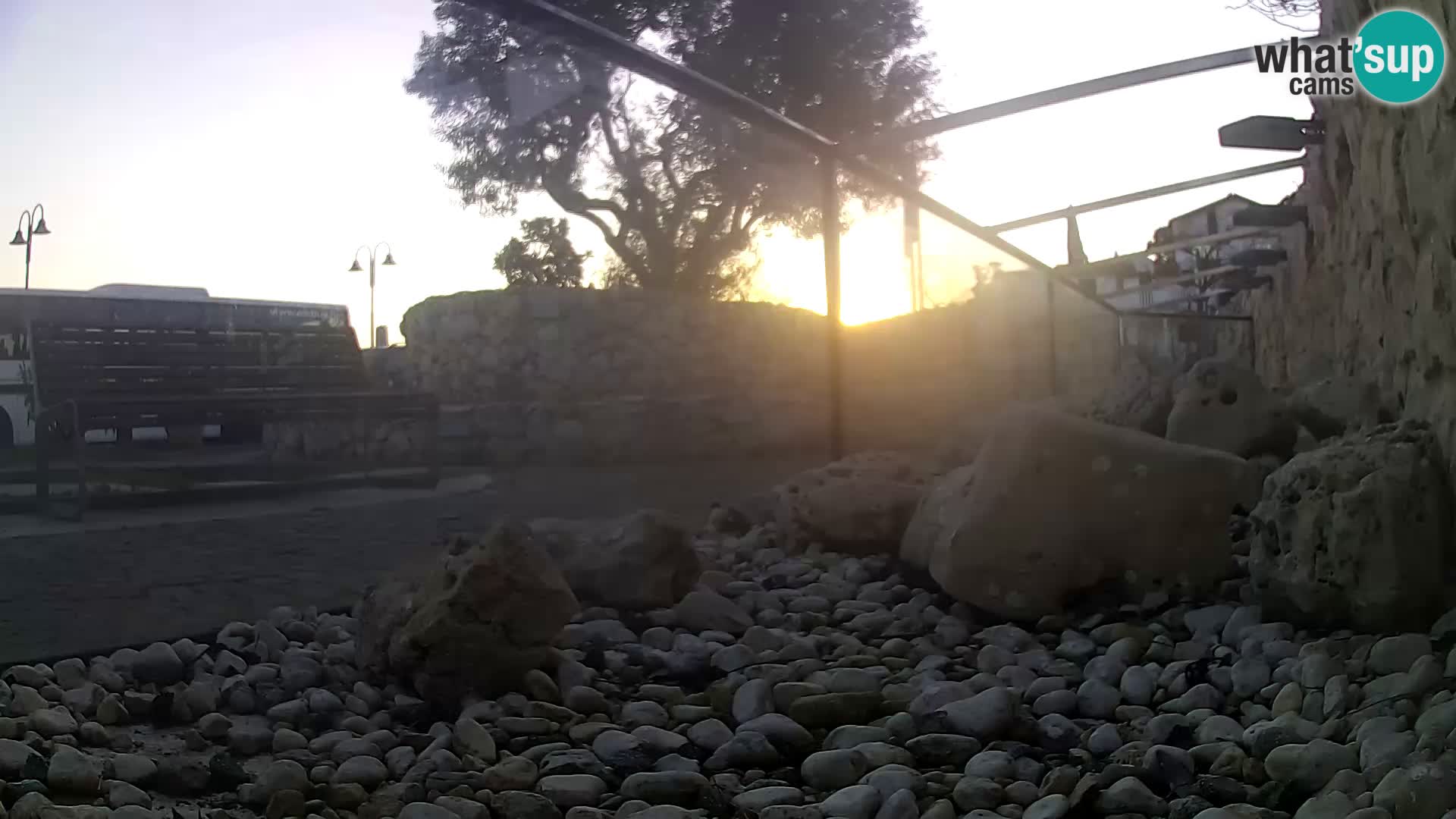 Zunanji morski akvarij Rogoznica spletna kamera Hrvaška