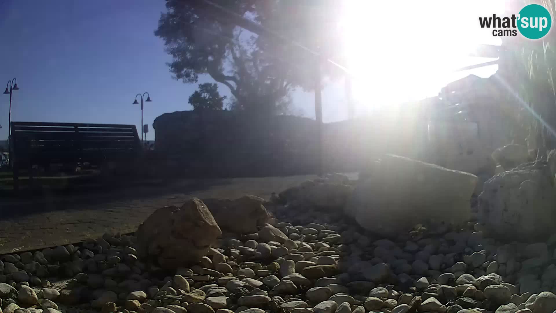 Zunanji morski akvarij Rogoznica spletna kamera Hrvaška