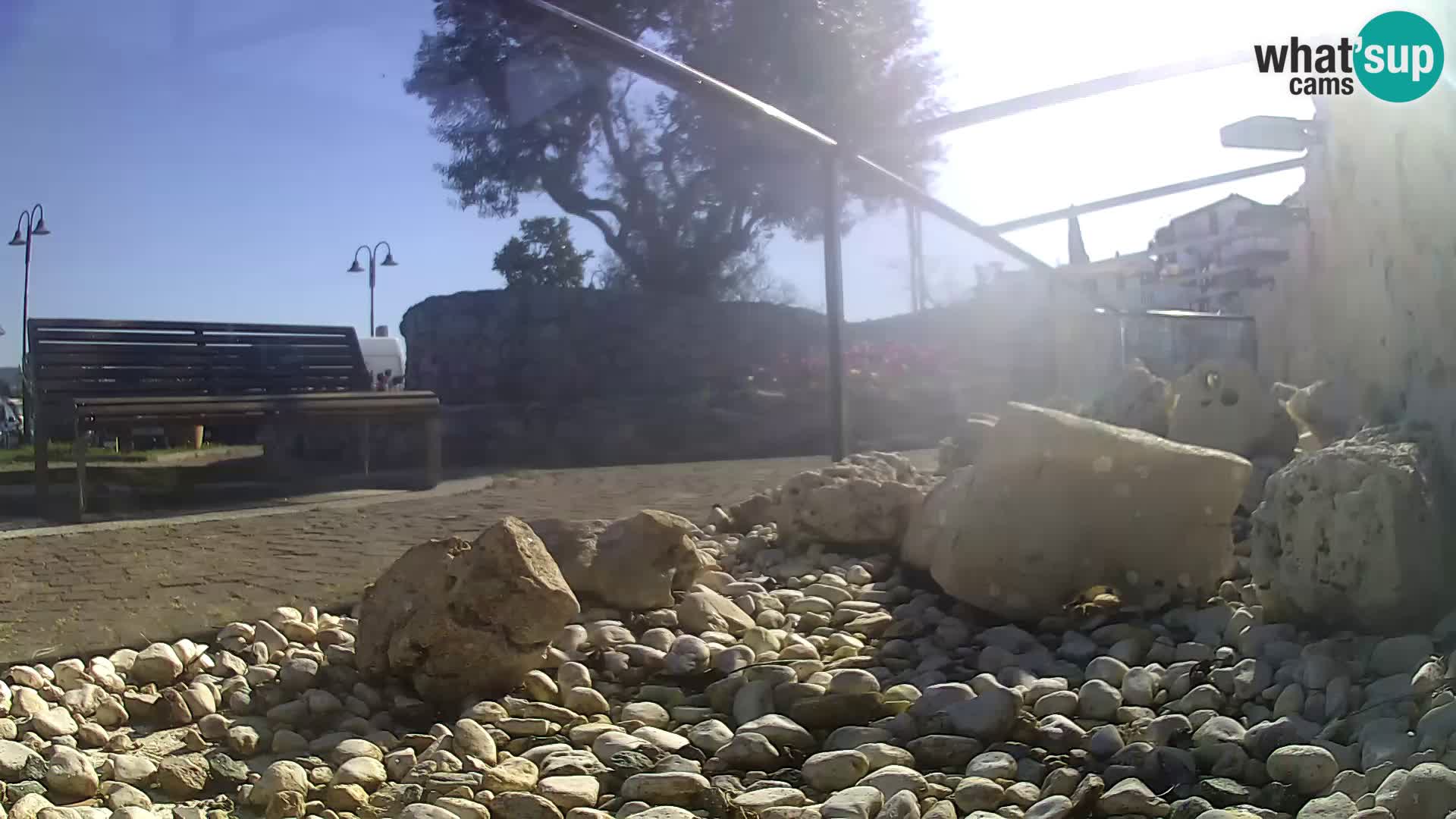 Webcam de l’aquarium marin extérieur de Rogoznica Croatie