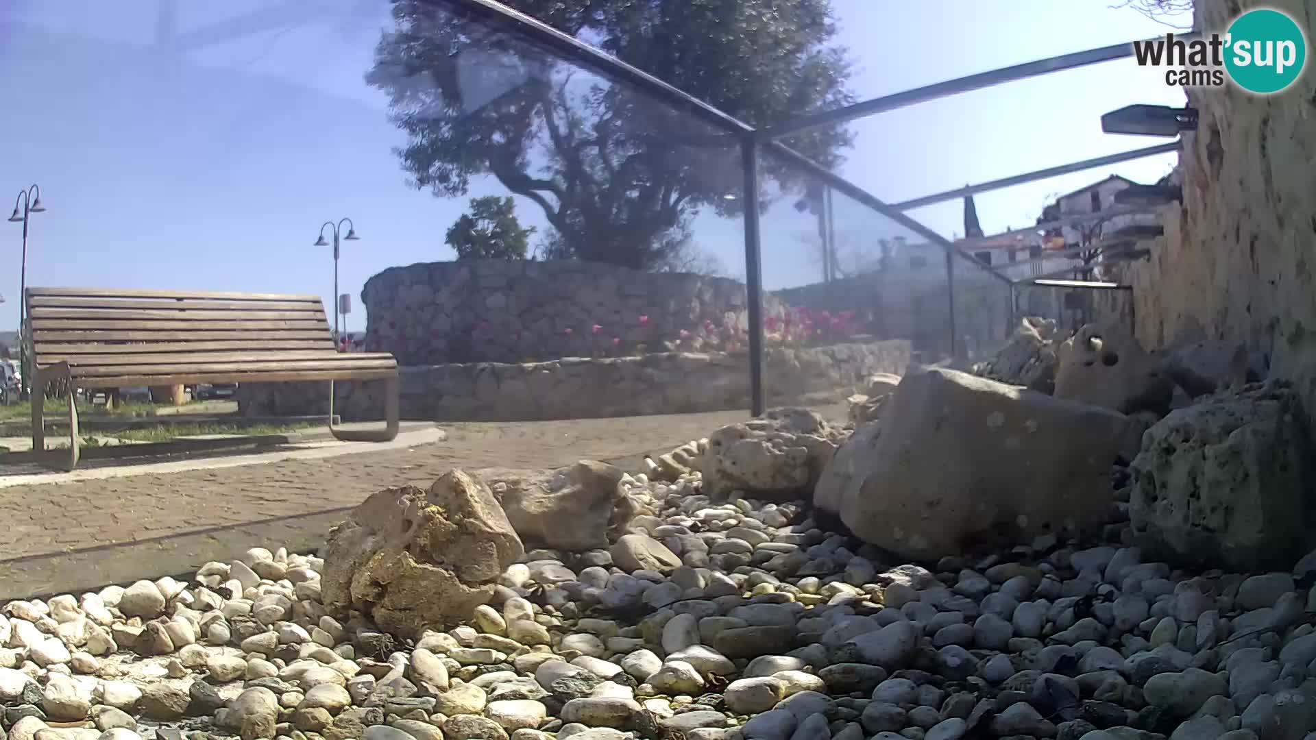 Marine Aquarium im Freien Rogoznica webcam Kroatien