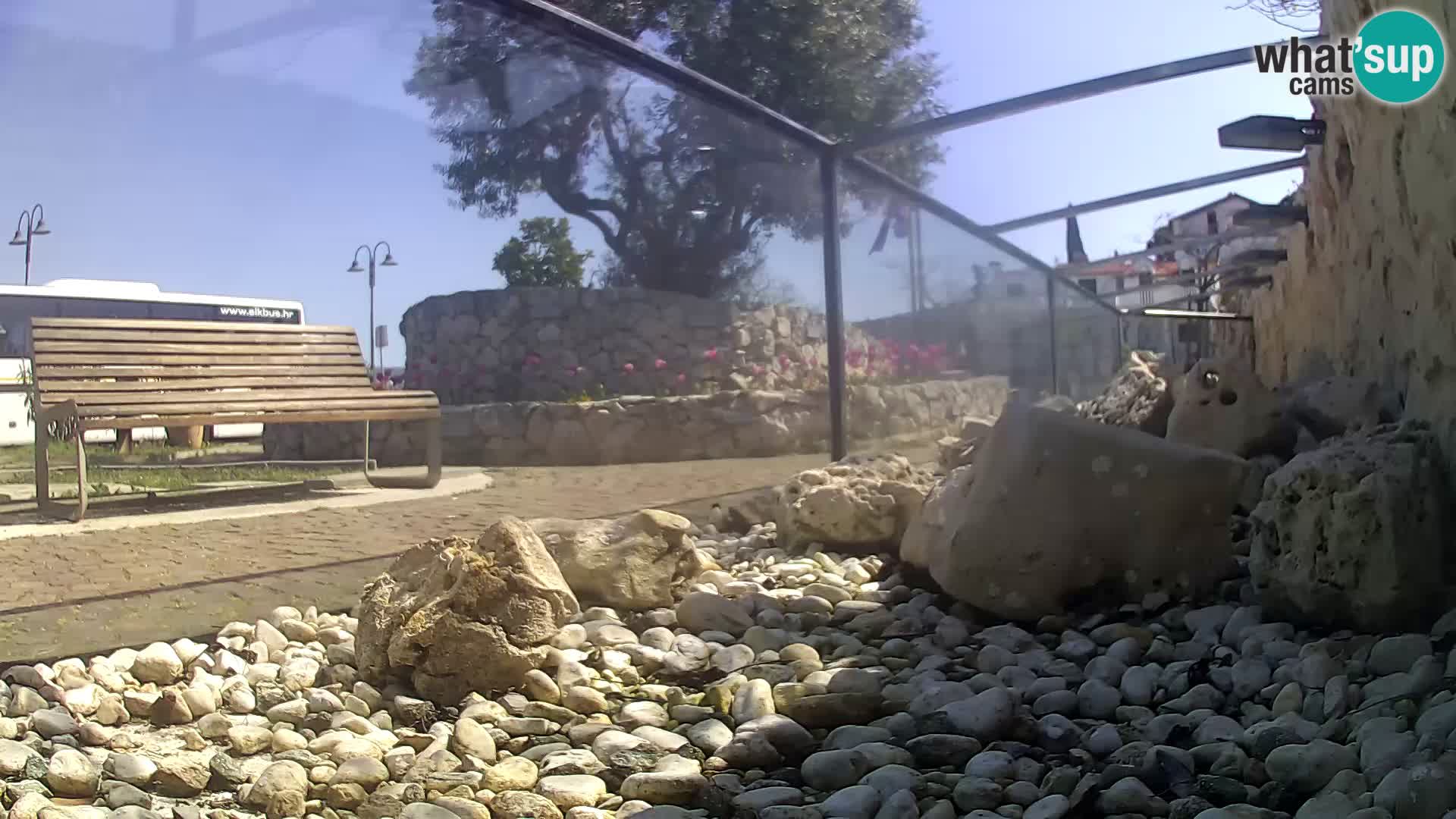 Webcam de l’aquarium marin extérieur de Rogoznica Croatie