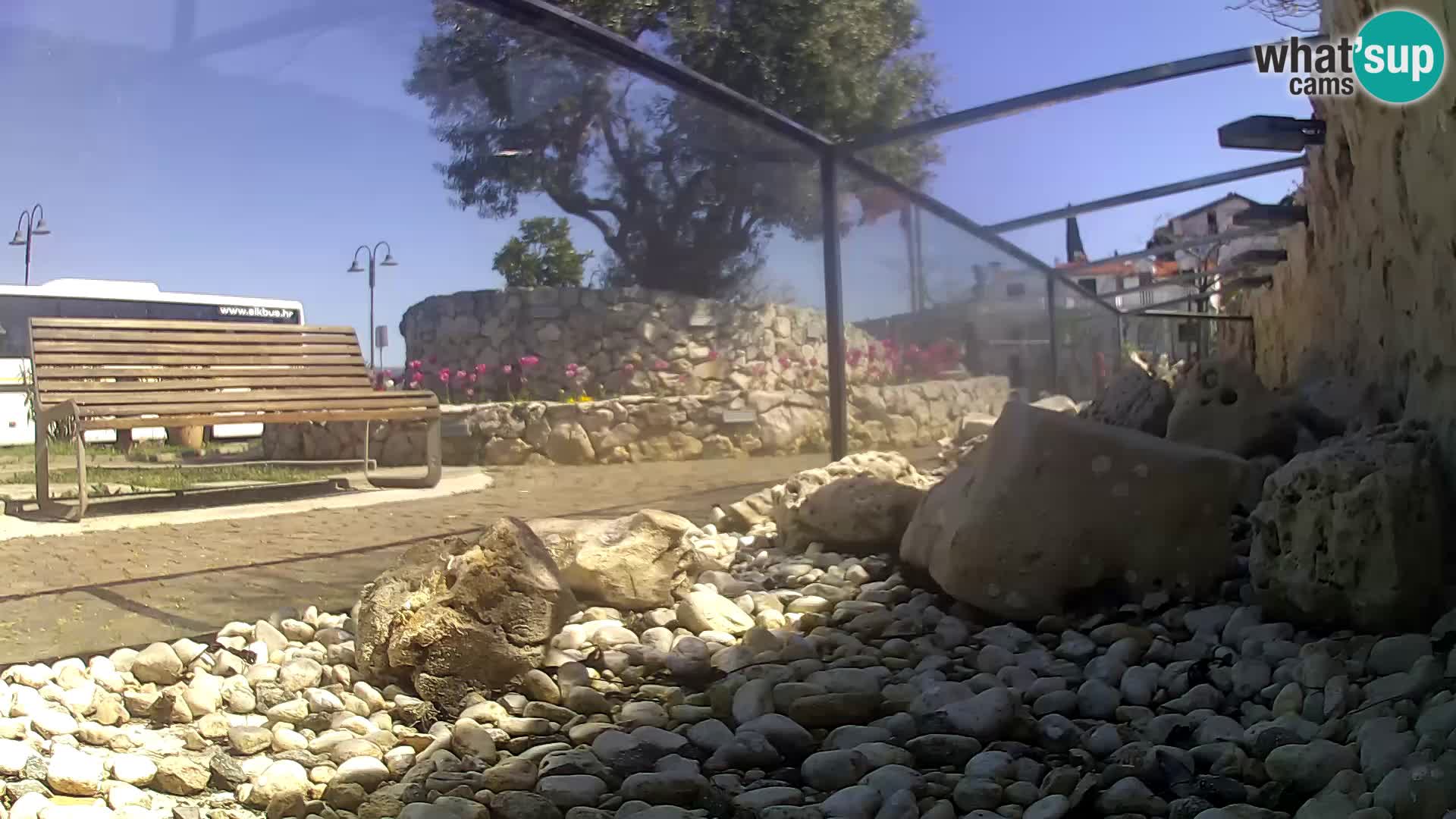 Marine Aquarium im Freien Rogoznica webcam Kroatien