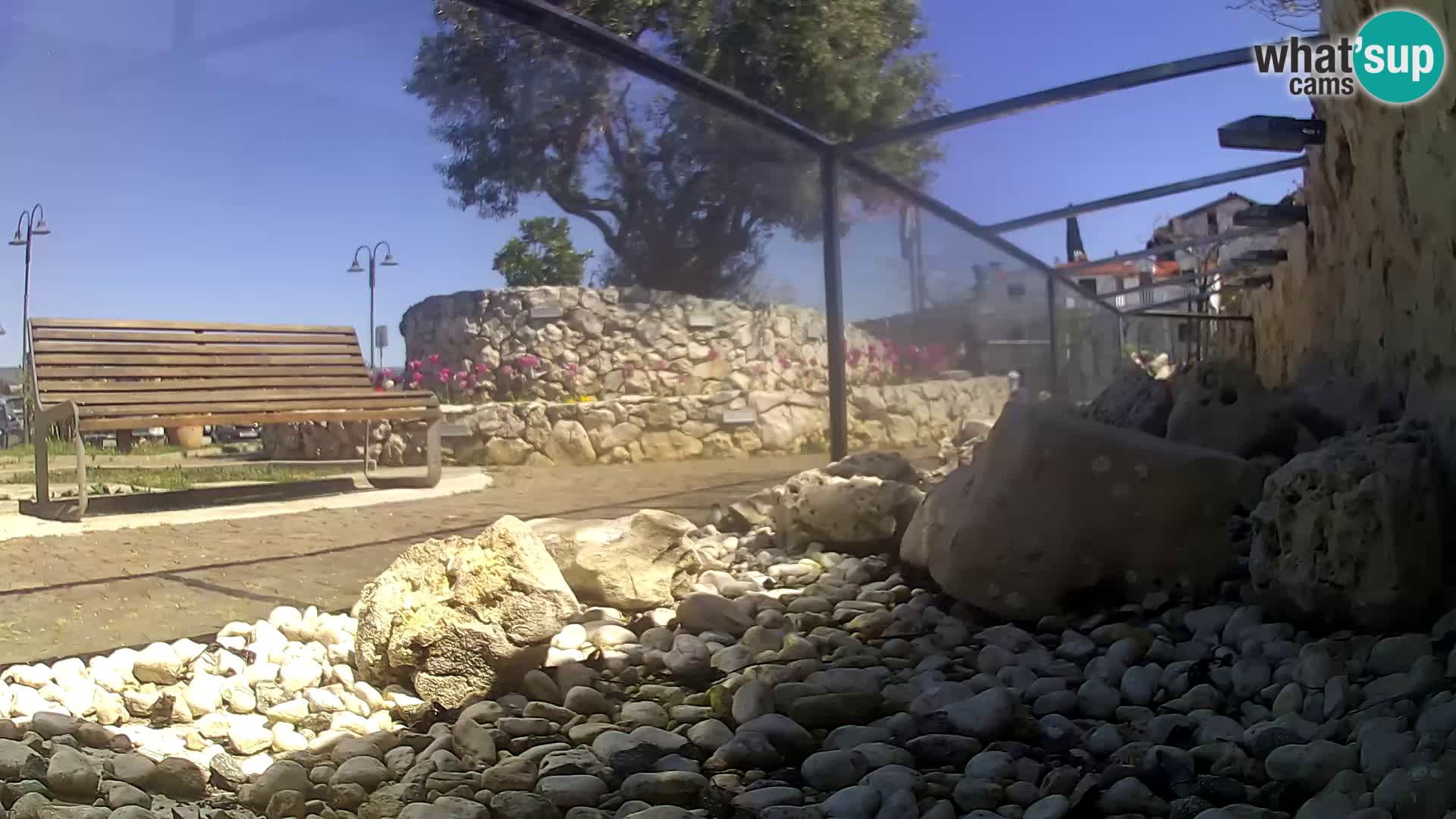 Aquario marino esterno – Rogoznica livecam Croazia