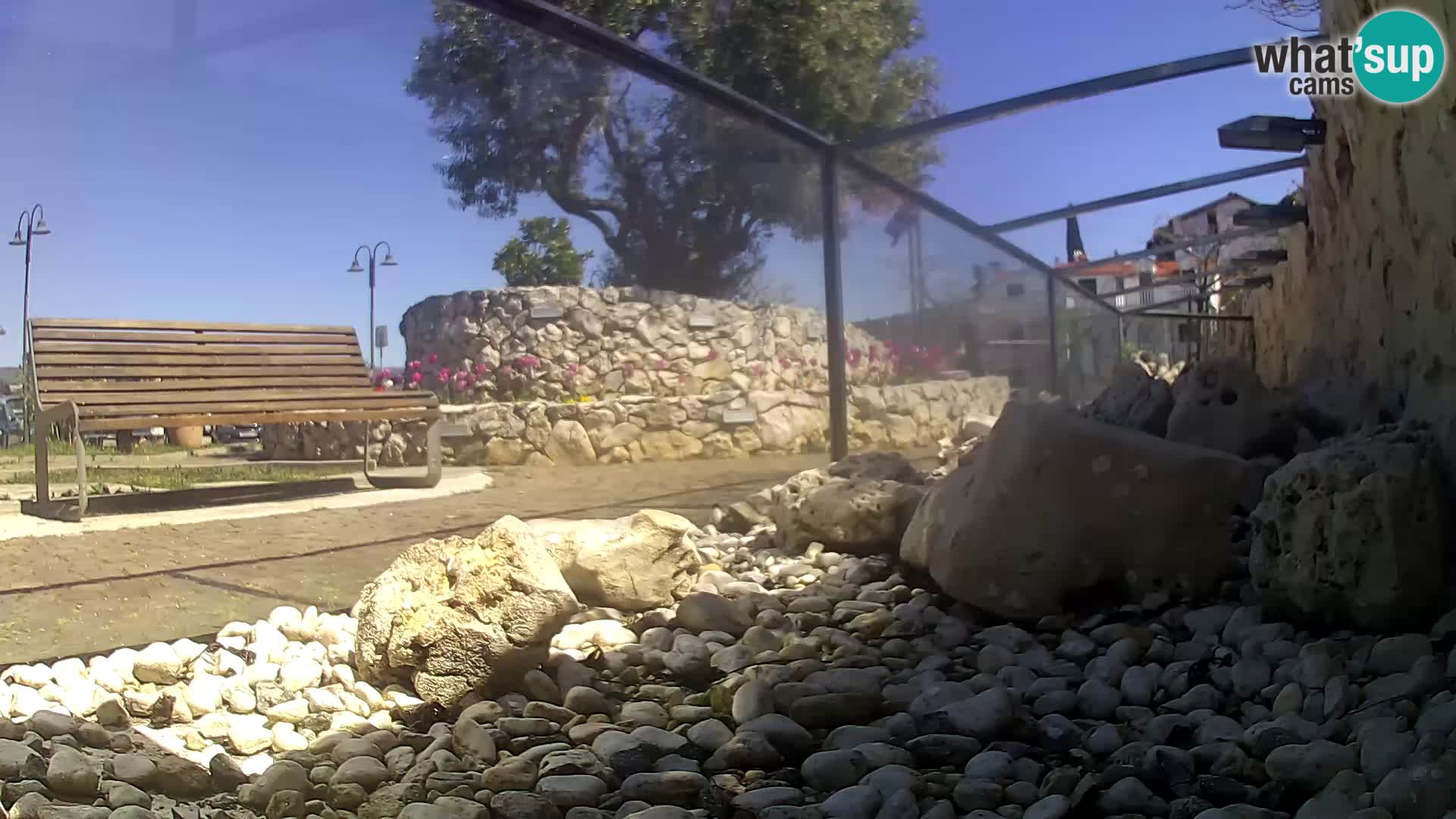 Zunanji morski akvarij Rogoznica spletna kamera Hrvaška