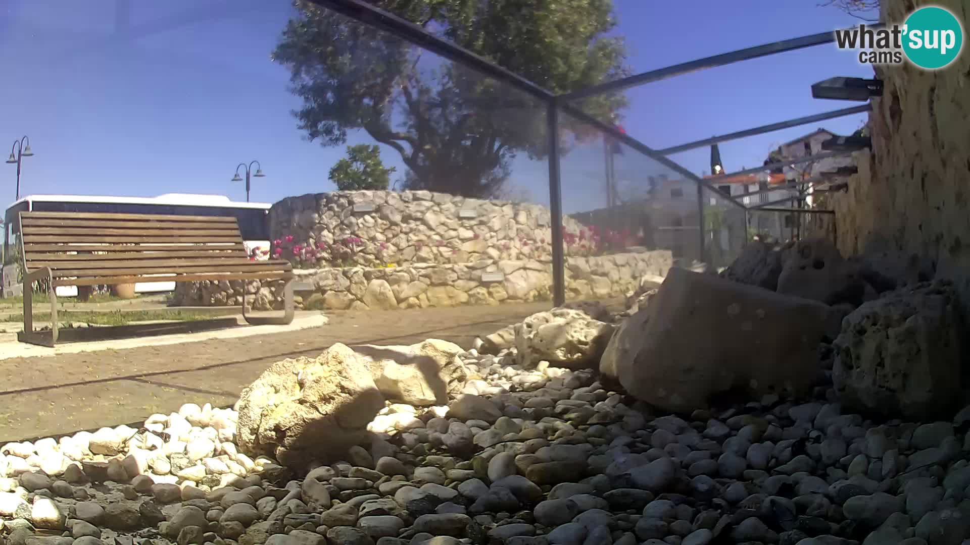 Vanjski morski akvarij Rogoznica web kamera Hrvatska