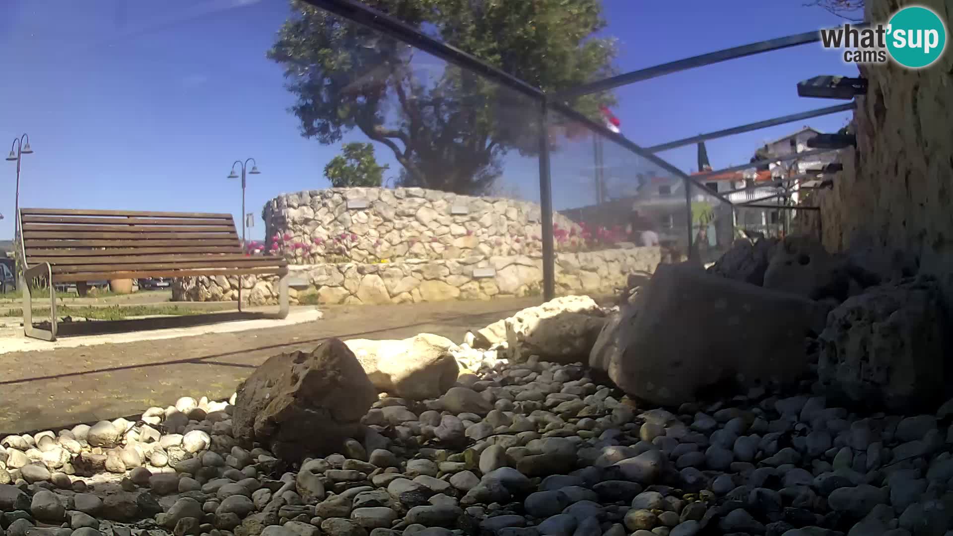 Aquario marino esterno –  Rogoznica livecam Croazia