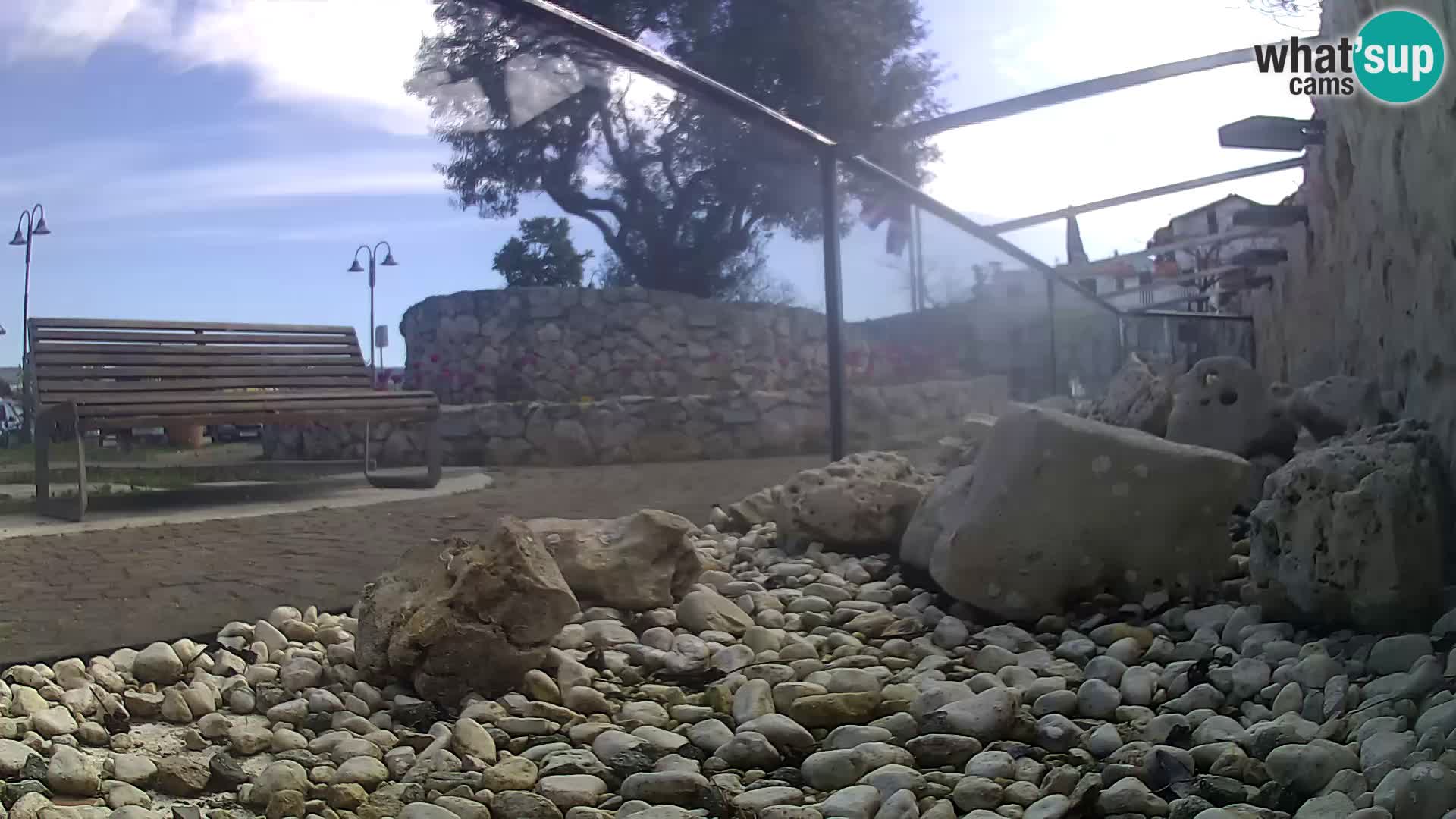 Outdoor Marine Aquarium Rogoznica webcam Croatia