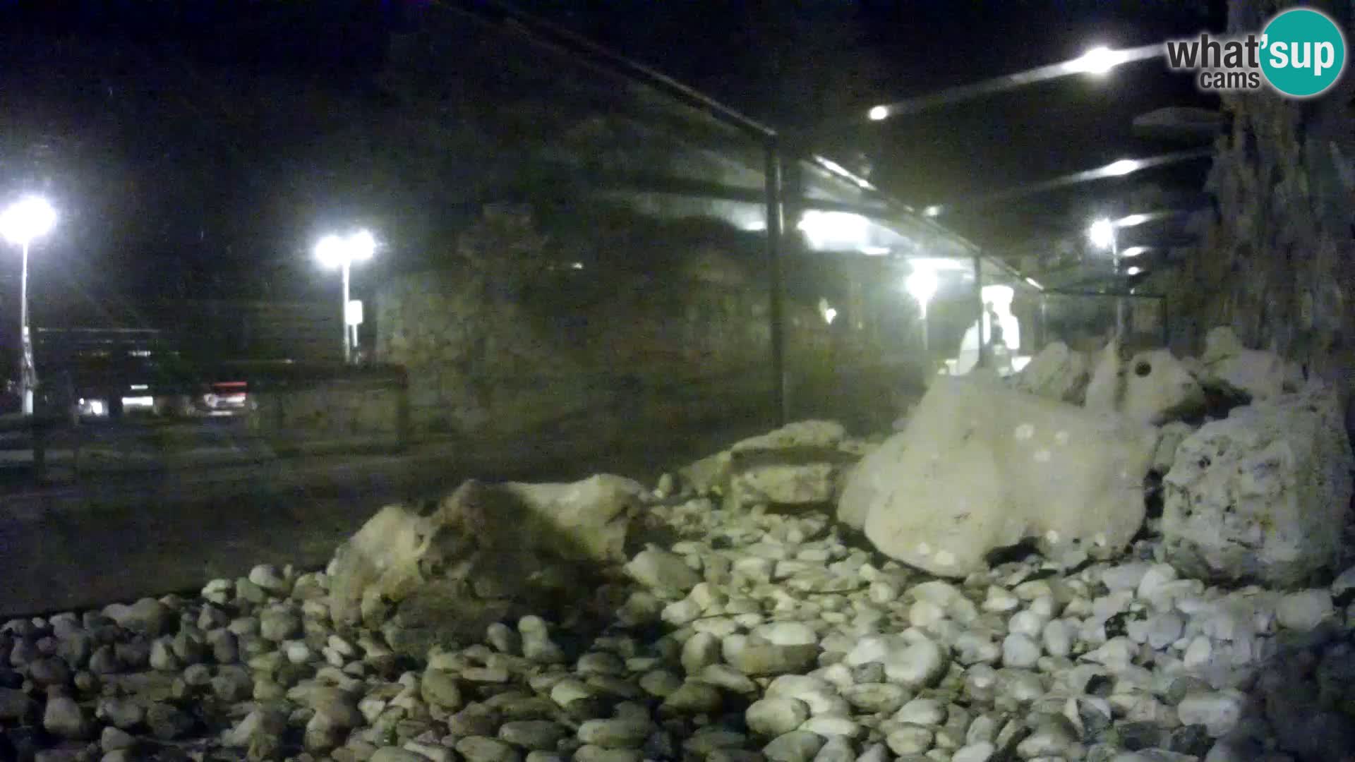 Marine Aquarium im Freien Rogoznica webcam Kroatien