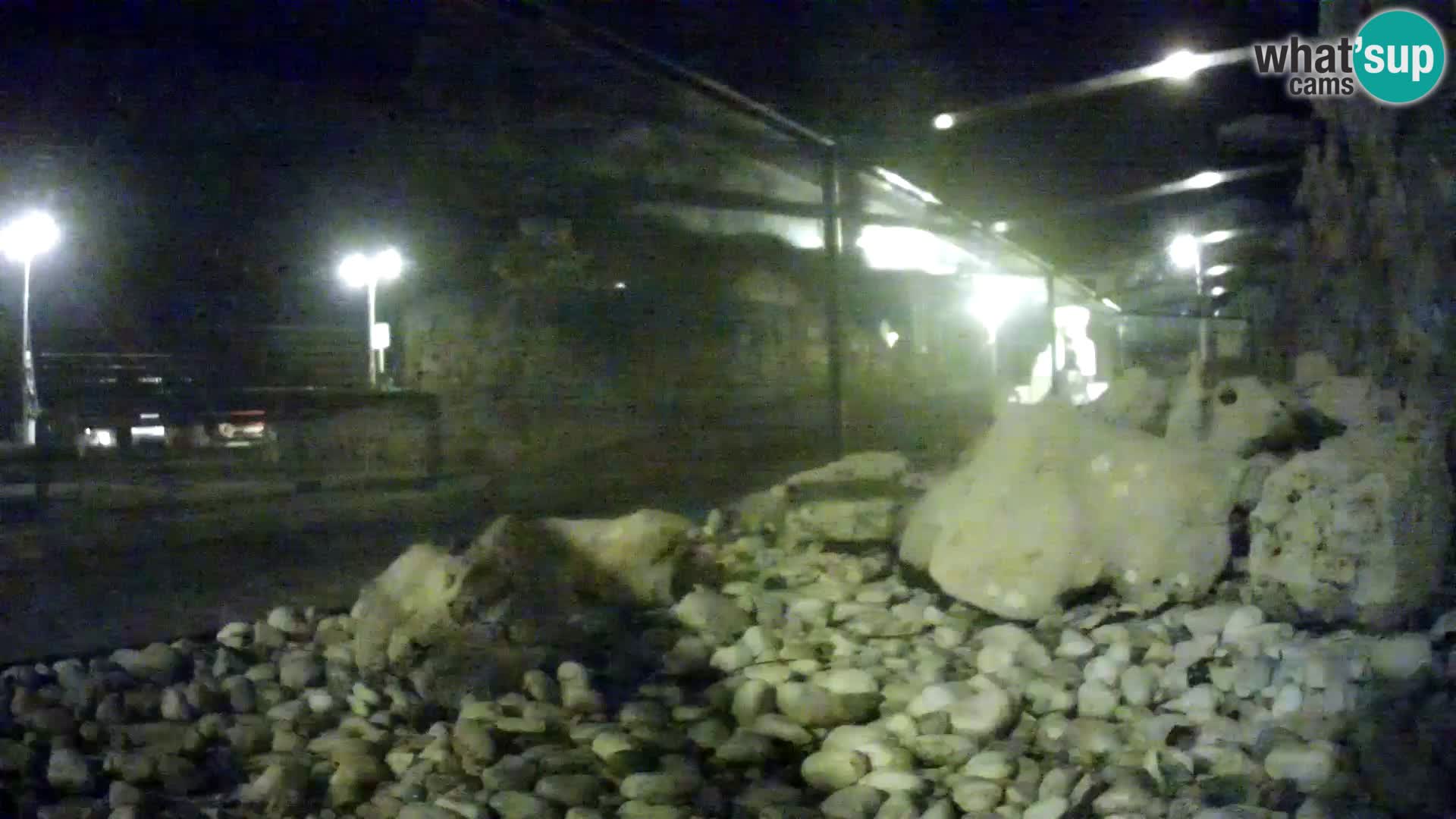 Outdoor Marine Aquarium Rogoznica webcam Croatia