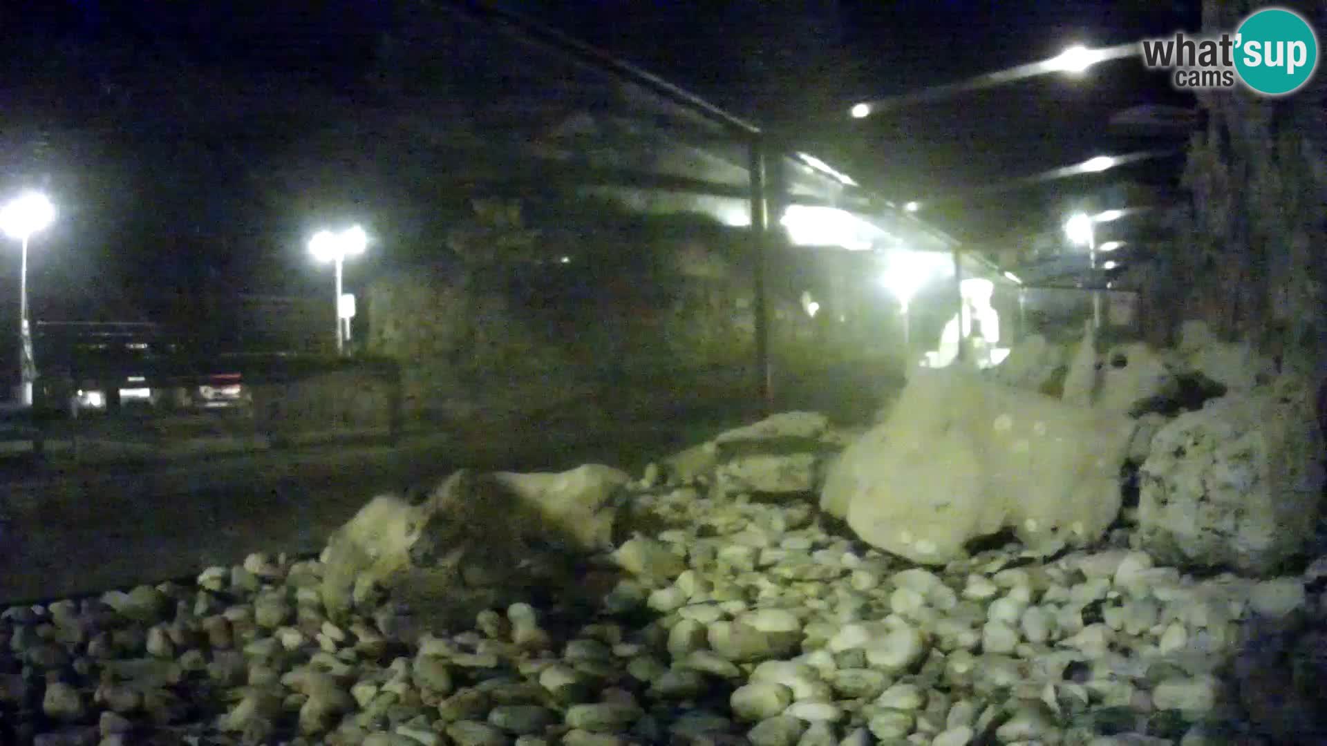 Aquario marino esterno –  Rogoznica livecam Croazia