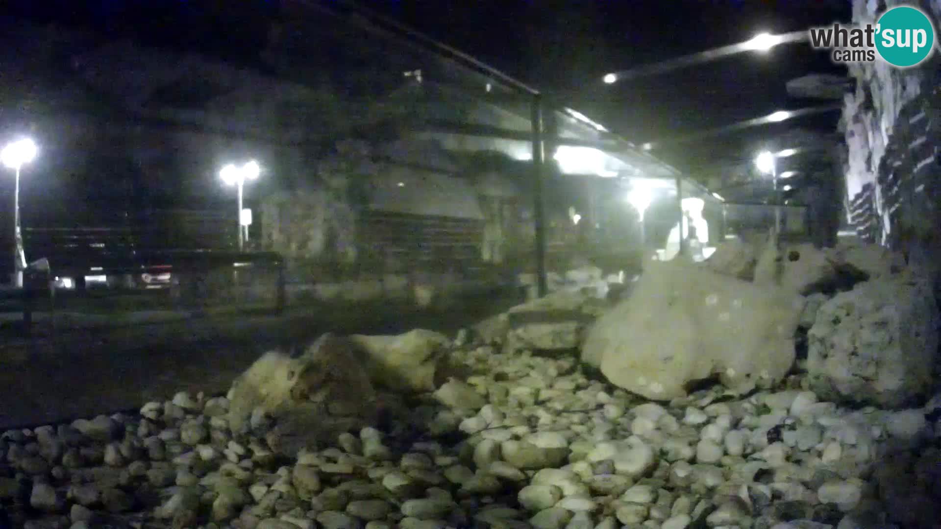 Acuario marino al aire libre Rogoznica webcam Croacia