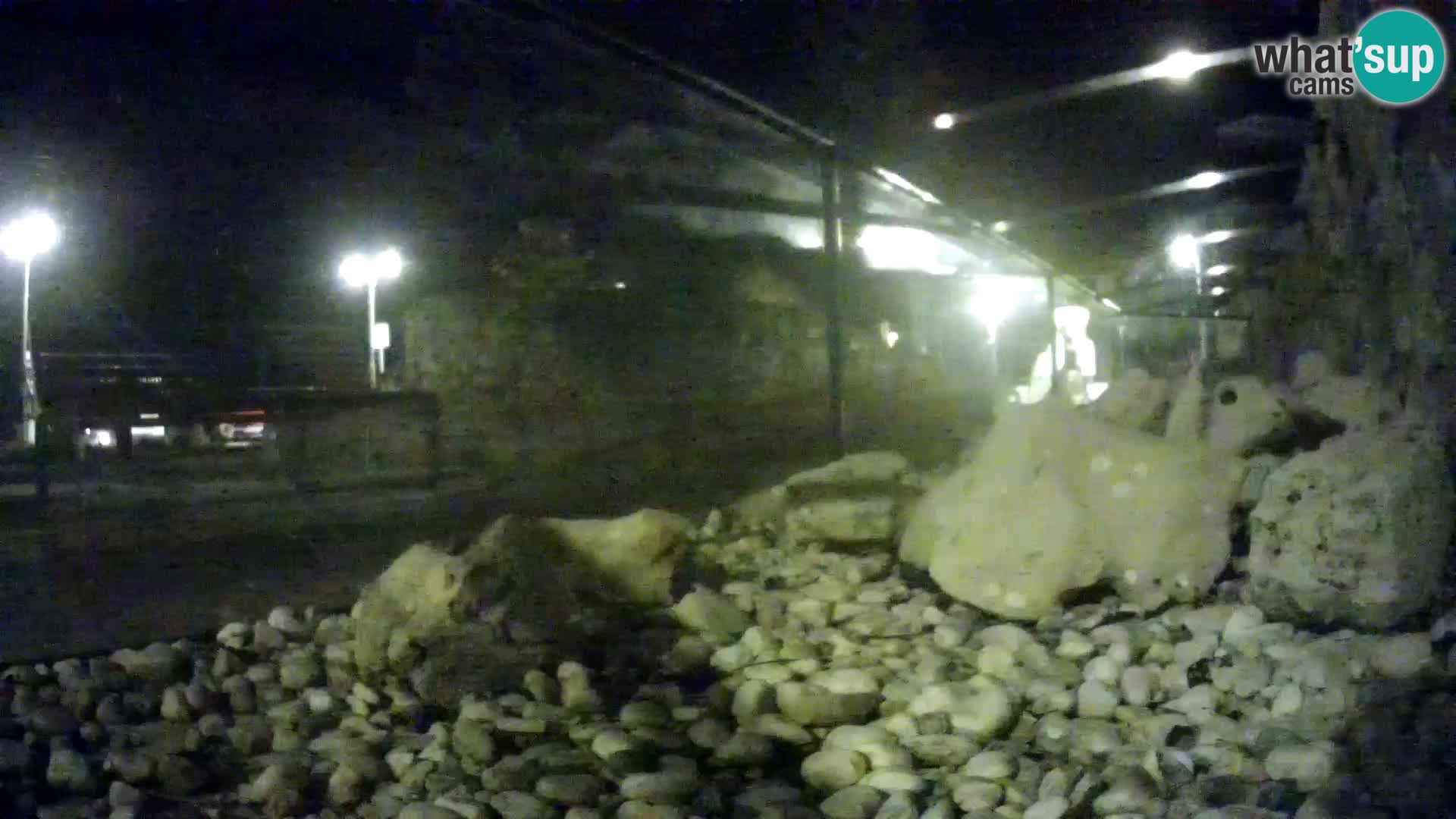 Acuario marino al aire libre Rogoznica webcam Croacia