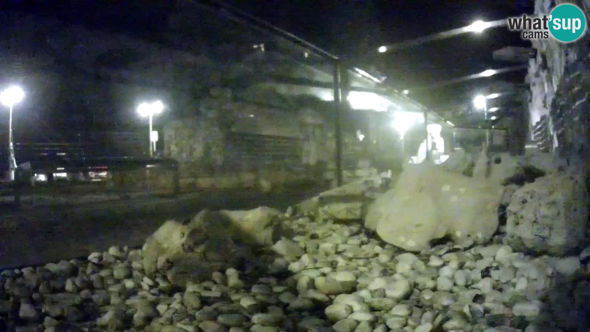 Unterwasserkamera Brijuni – Čamčarnica